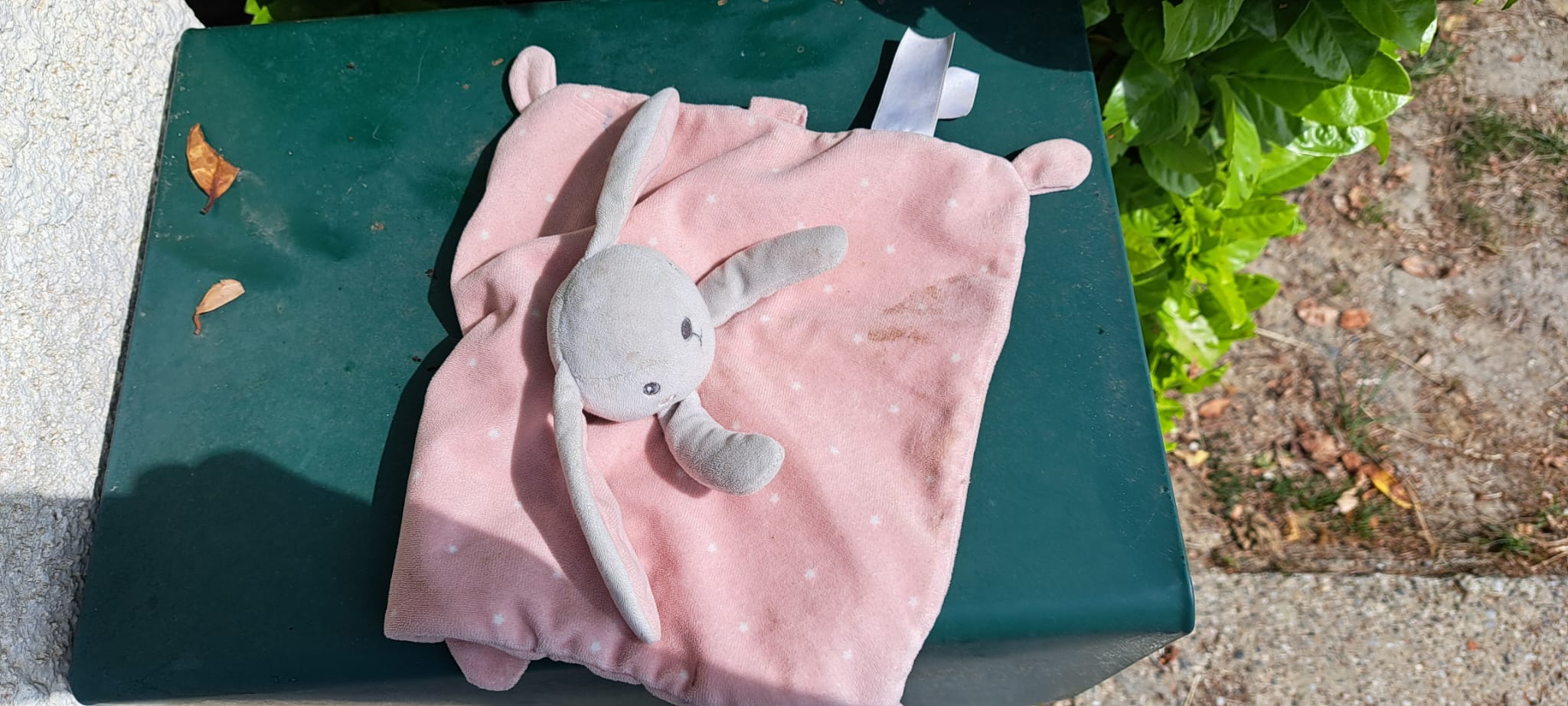 Lapin — Sauveterre-de-Guyenne