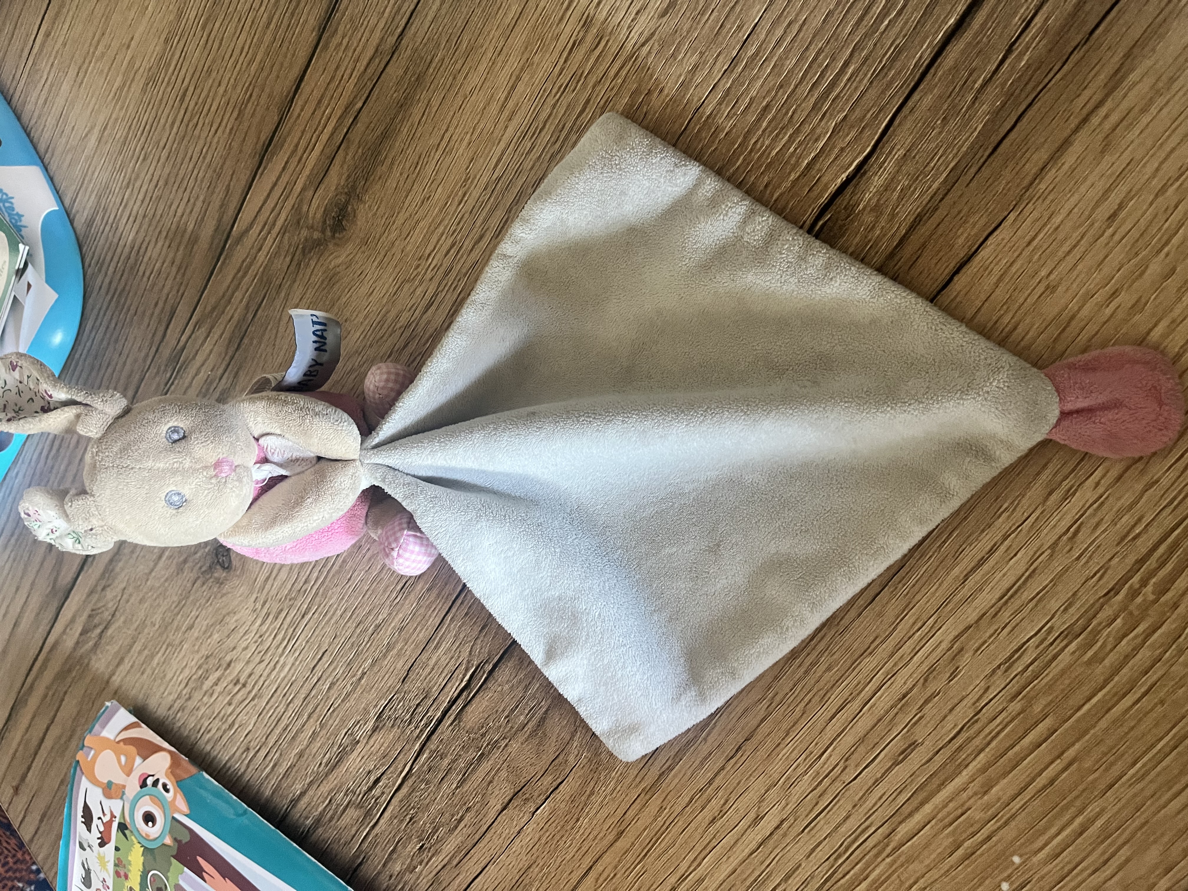 Lapin blanc et rose poupi — Saint-Joachim
