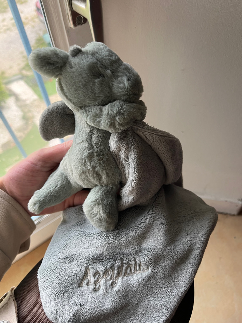 Dragon jellycat vert avec le prénom de ma fille dessus — Provins