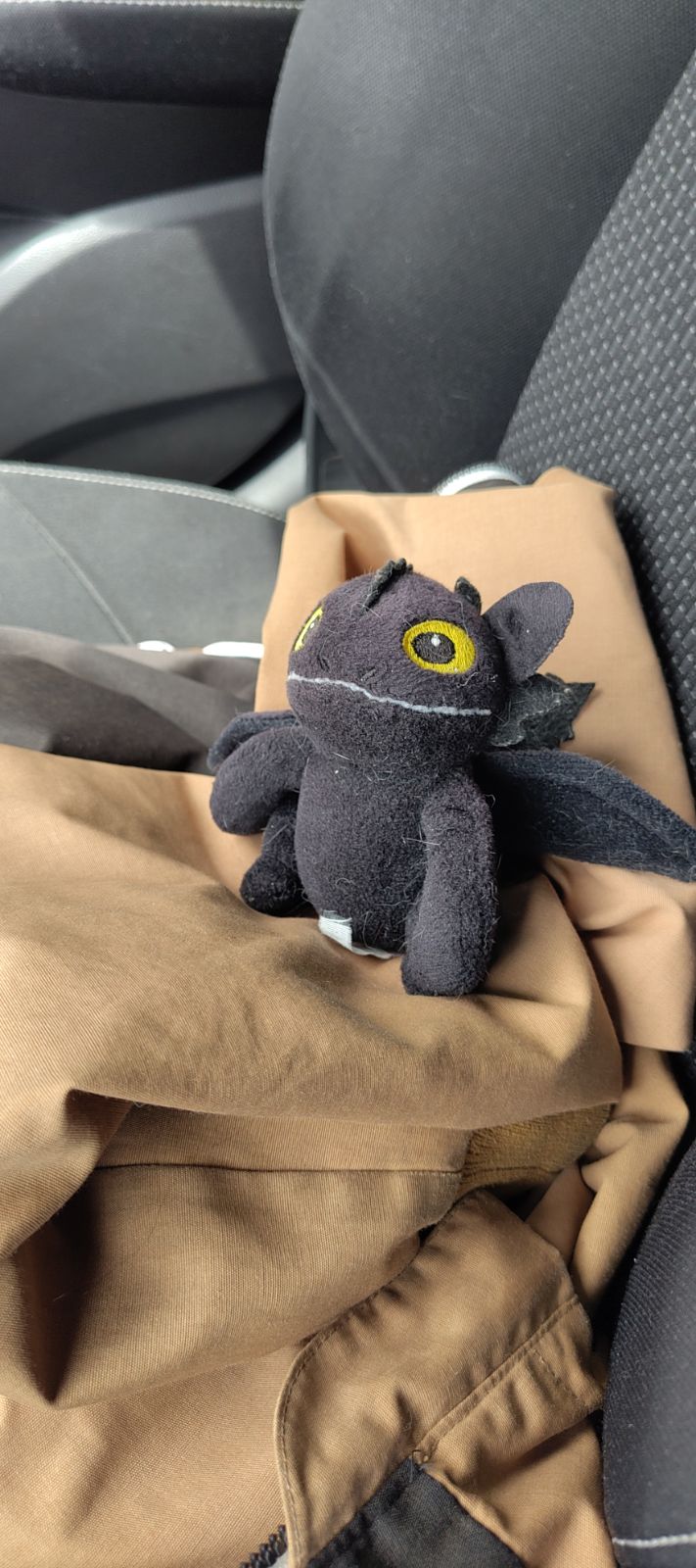 dragon peluche perdu bord de route doubs — Sarrogna