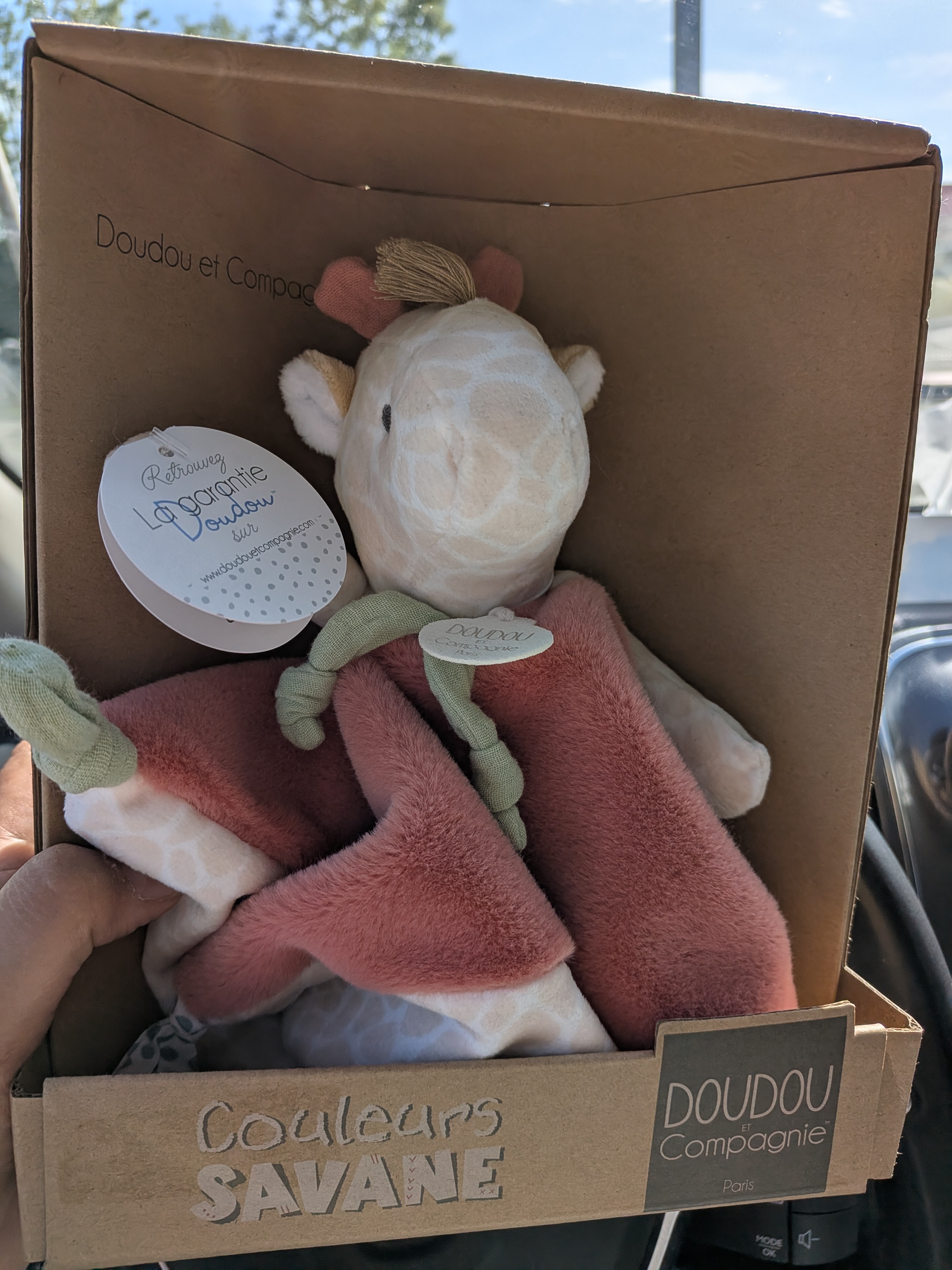 Doudou girafe perdu sur la commune St Priest des Champs (63) — Pionsat