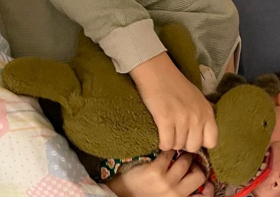 Dinosaure Vert Jellycat — Paris