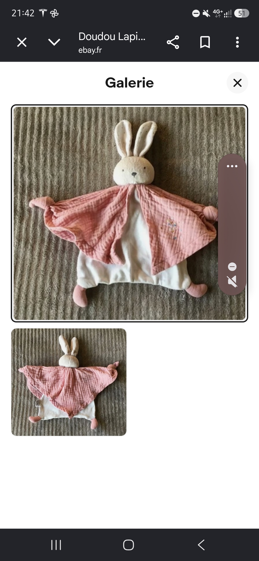 Lapin rose et blanc — Morschwiller-le-Bas