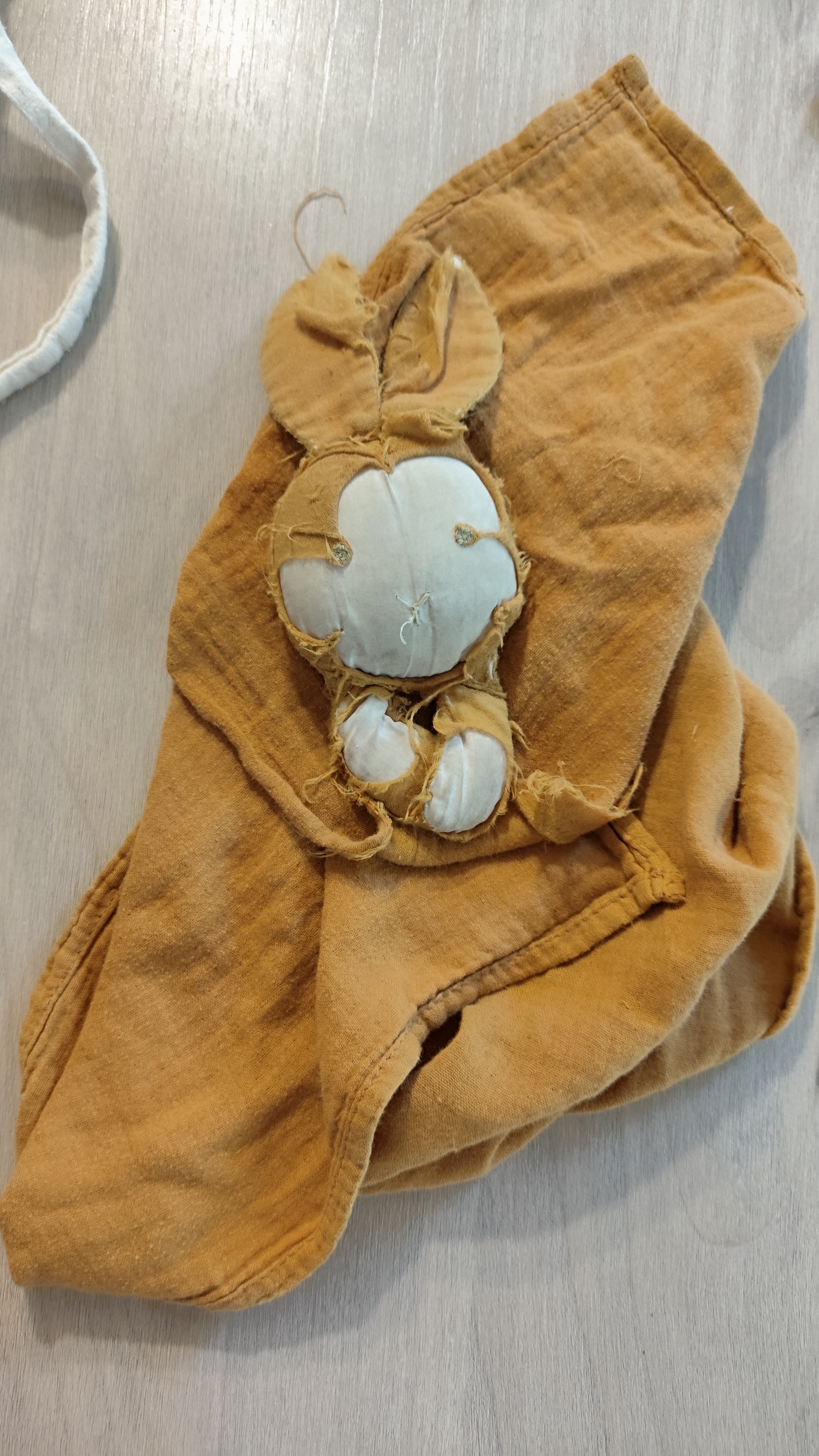 Lapin attache par deux — Caen