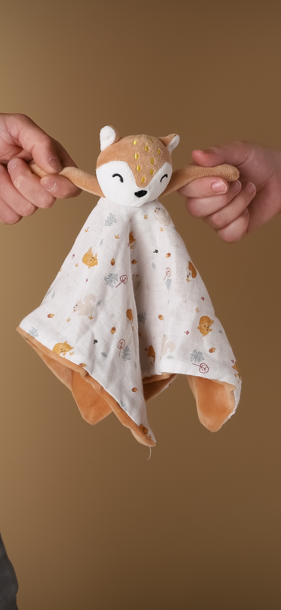 Doudou renard in extenso — Arras