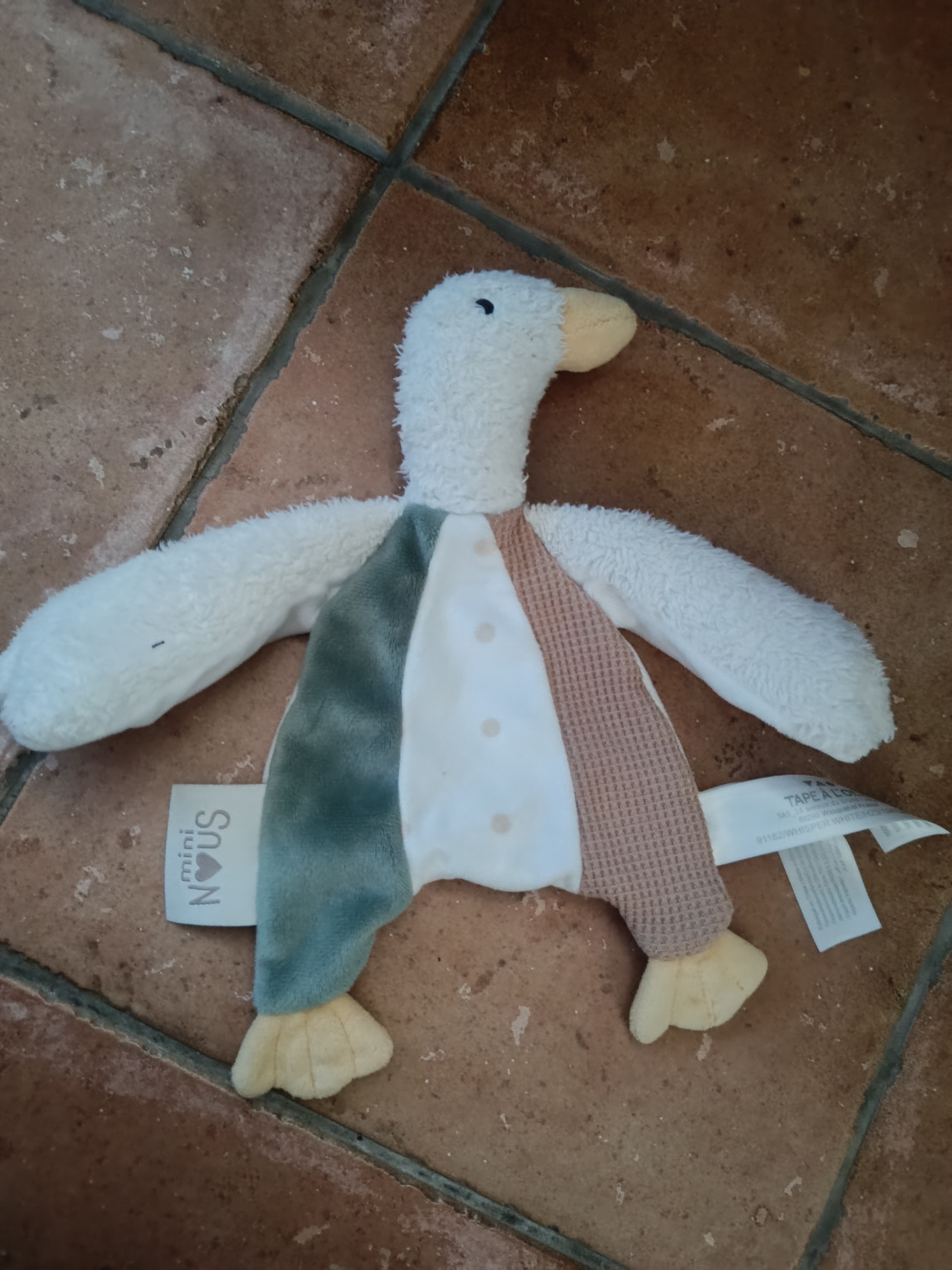 Canard plat — Saint-Vaast-lès-Mello