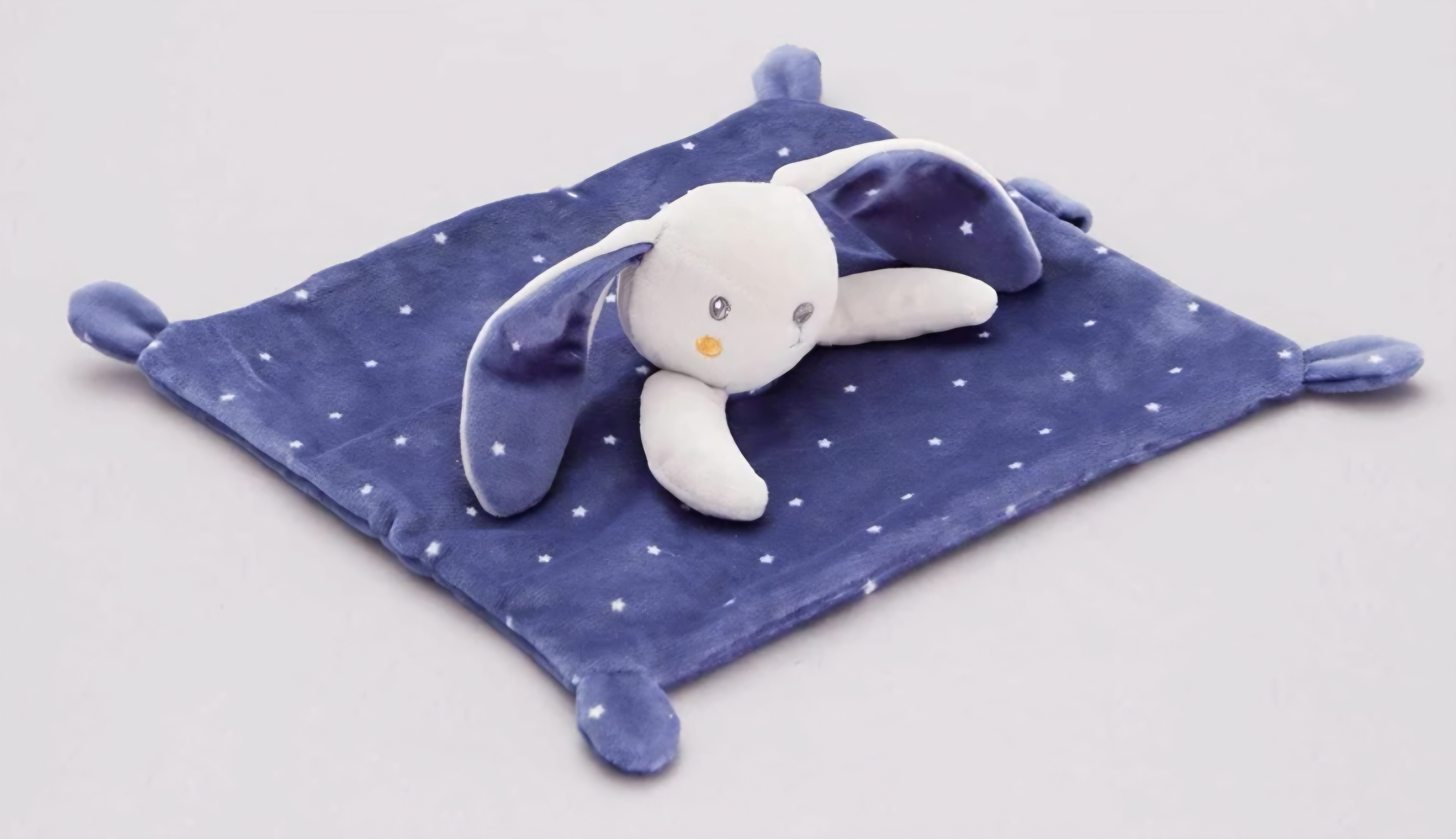 Lapin bleu et gris — Thonon-les-Bains