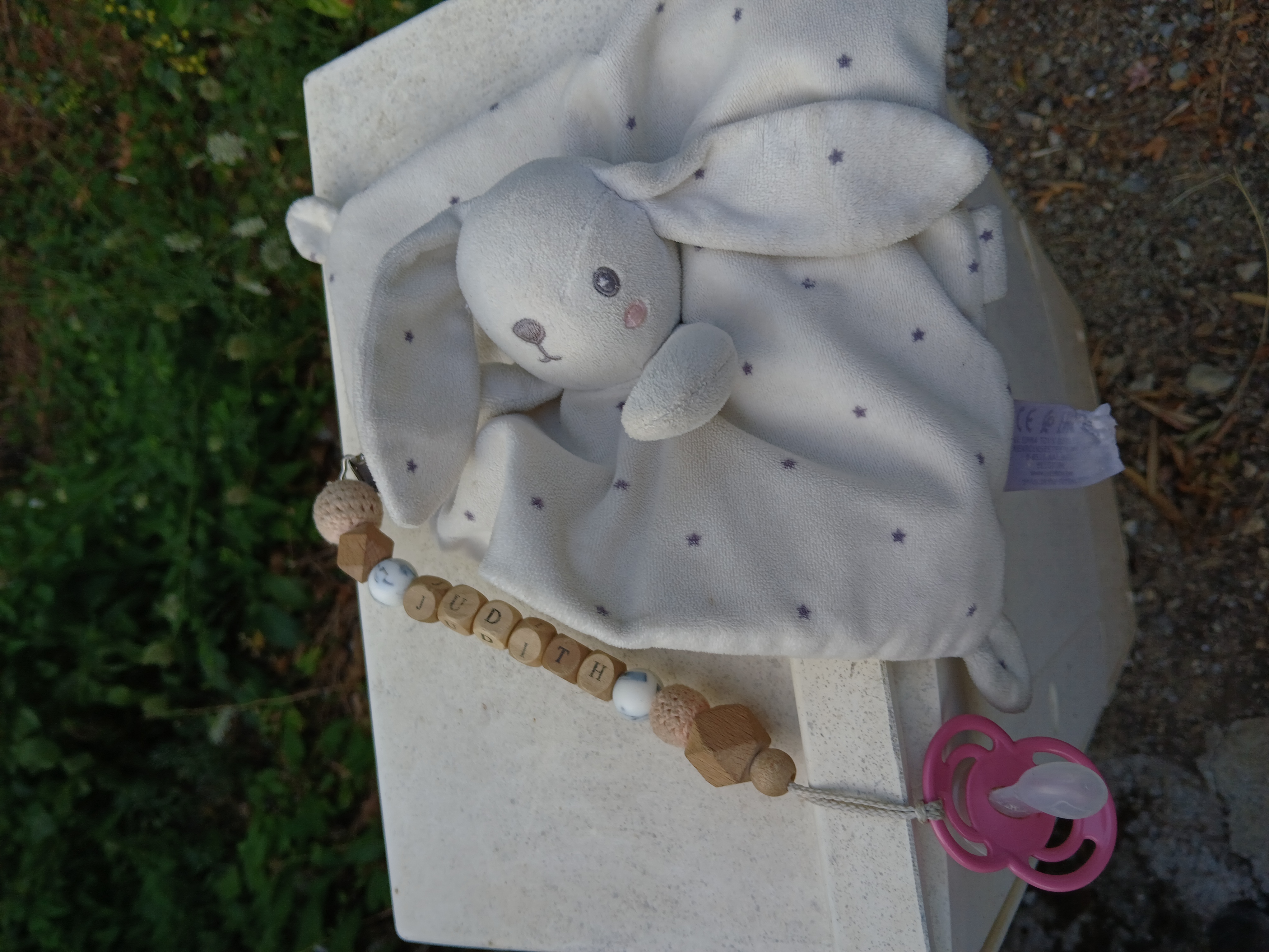 Lapin beige — Saint-André-des-Eaux