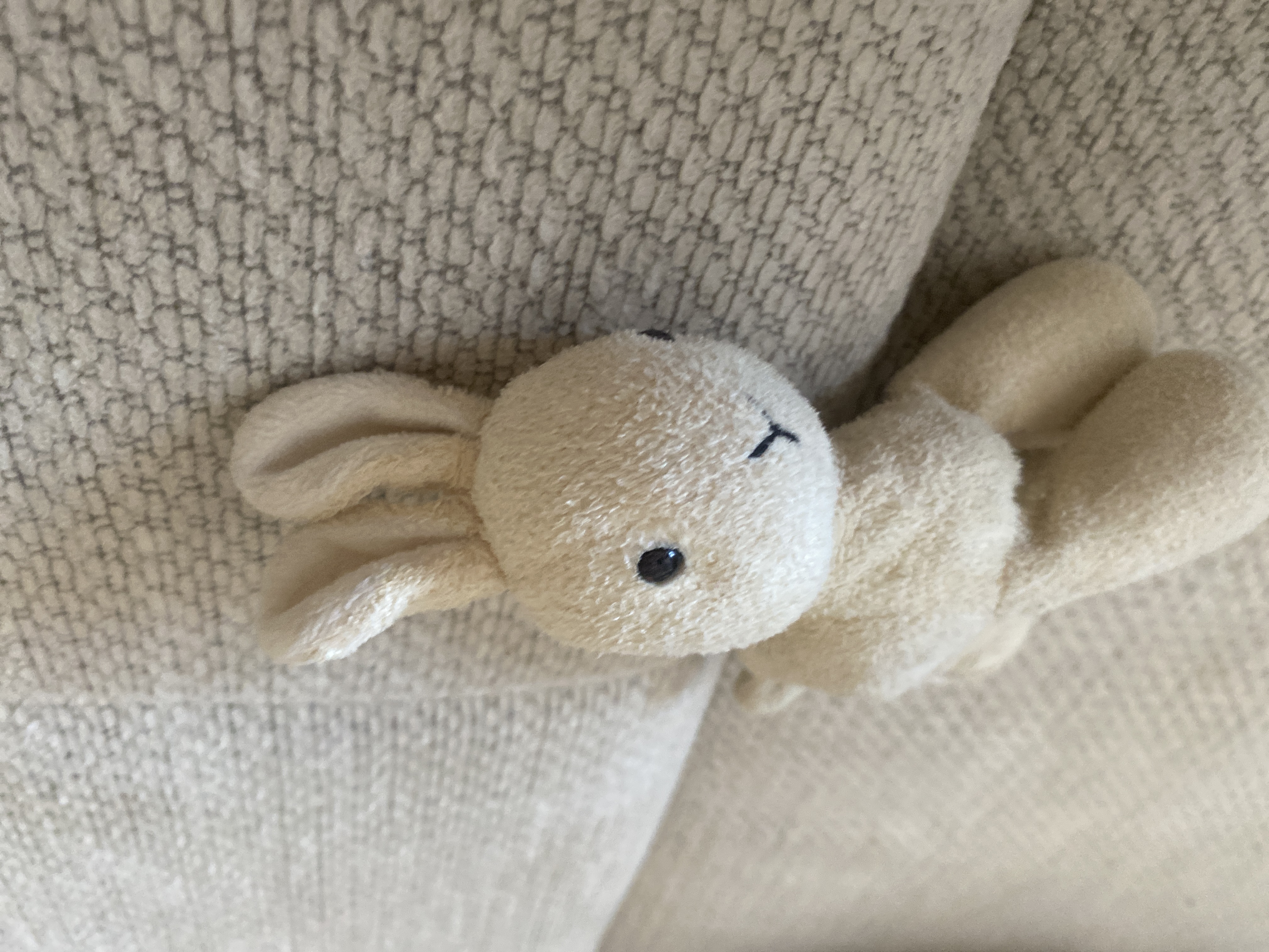 Doudou crème — Luzech