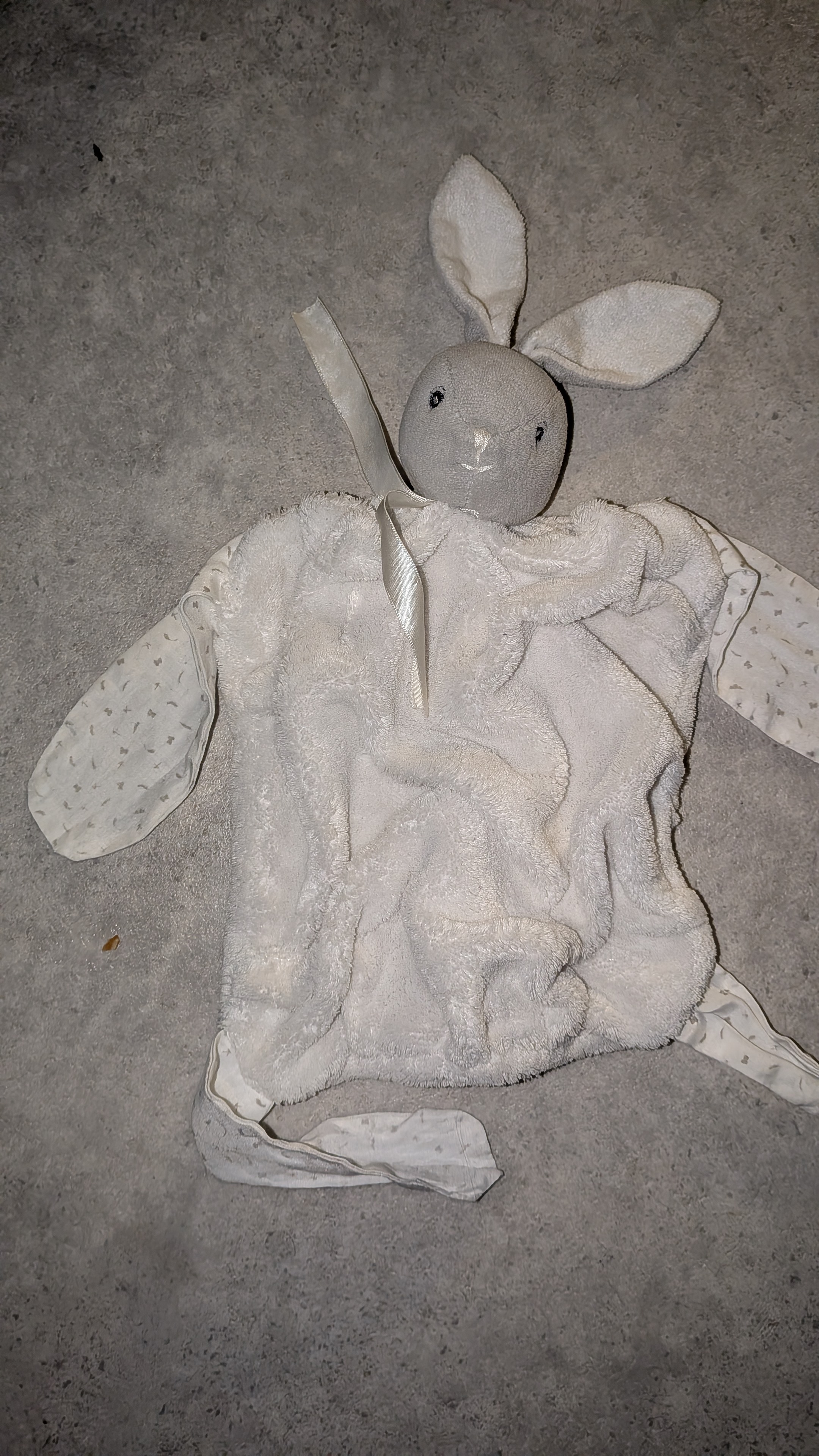 Lapin — Ars-en-Ré