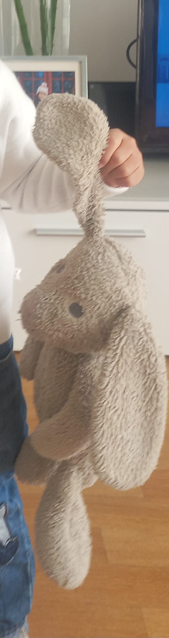 Lapin gris perdu sans le train ligne J st lazare pontoise — Saint-Ouen-l'Aumône