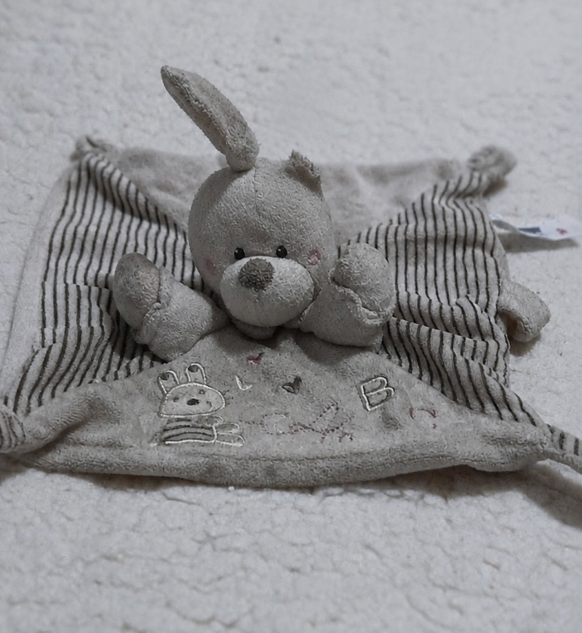 Lapin grisonnant — Labruyère