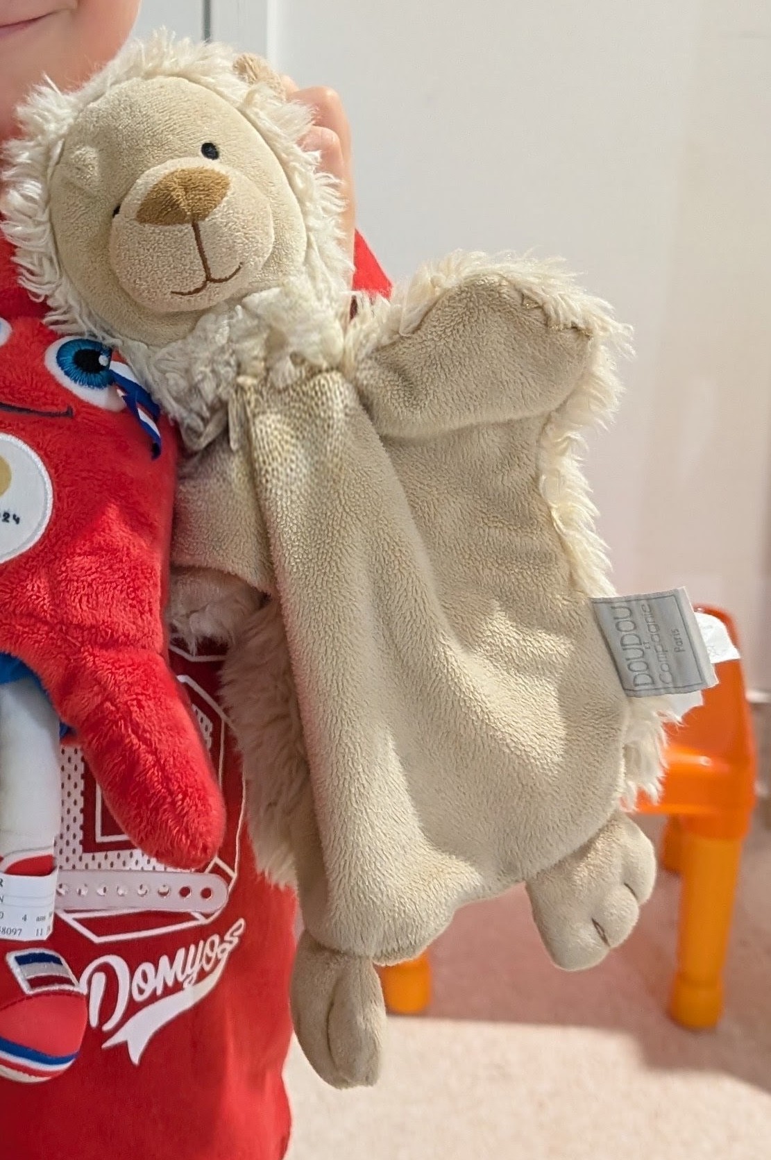 Marionnette lion Doudou et compagnie — Canéjan