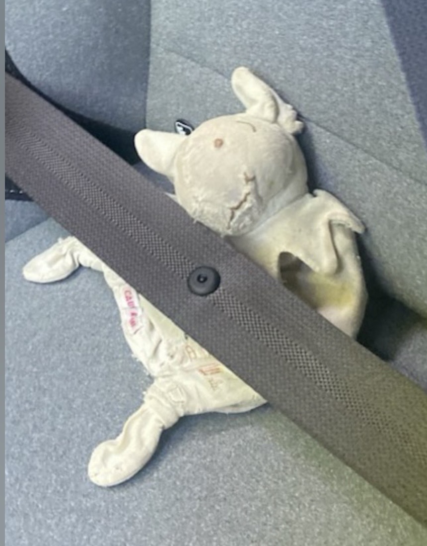 Souris doudou et compagnie — Beauvais