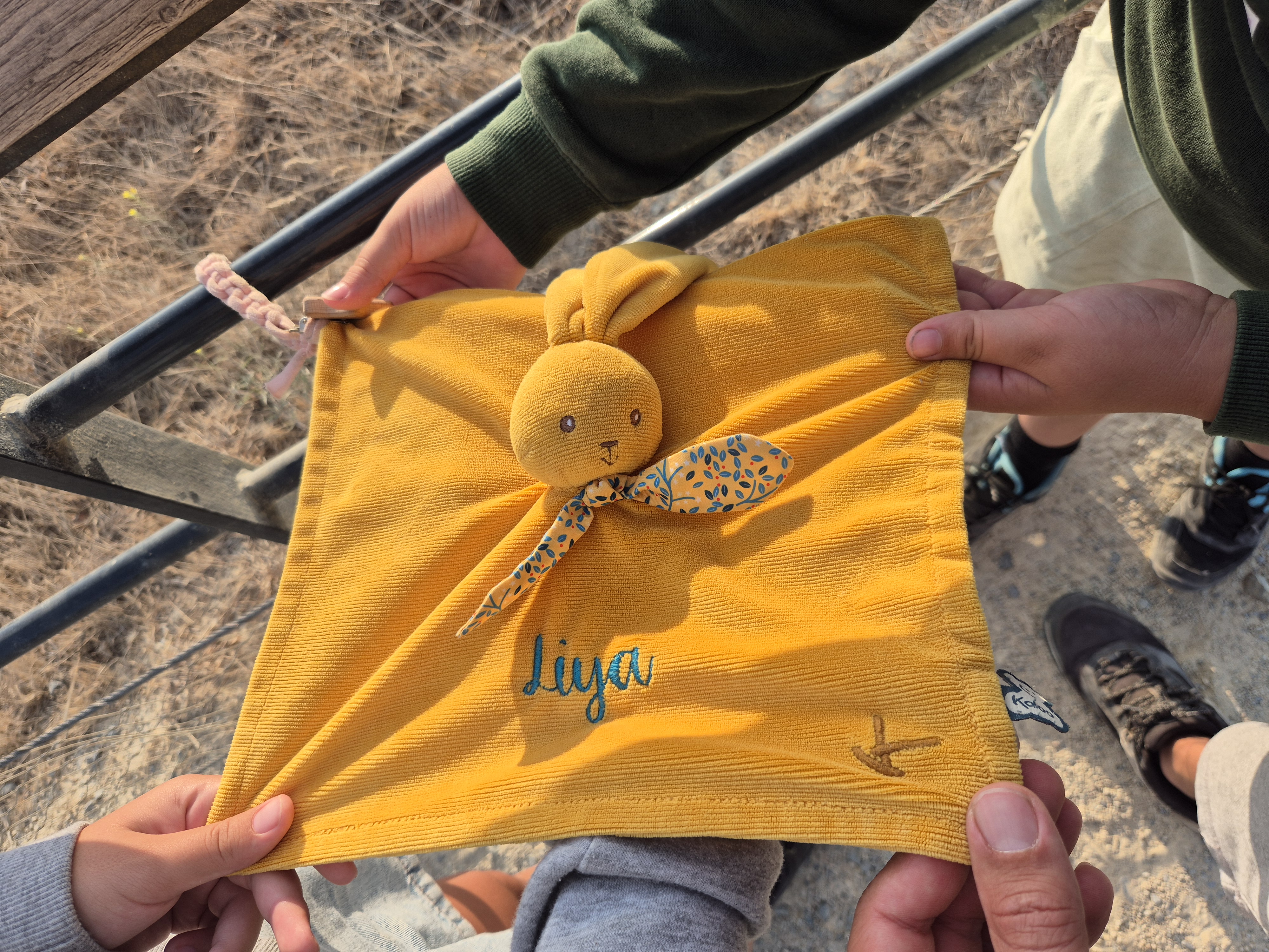 Petit lapin jaune Liyah — Cancale