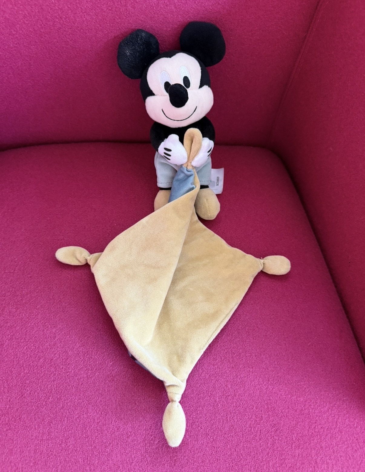 Mickey — Savigny-sur-Braye
