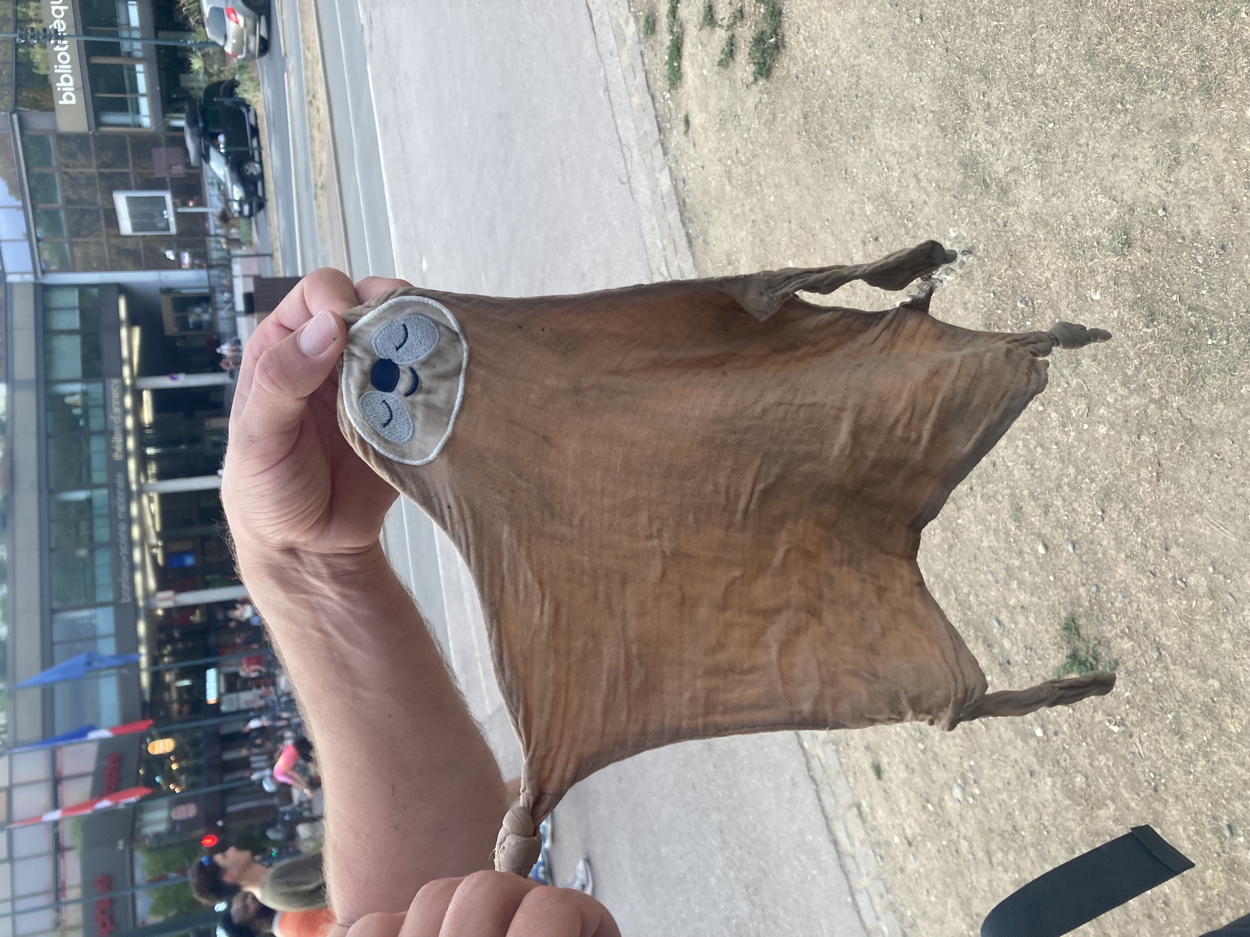 Doudou Paresseux trouvé à Annecy sur le Paquier — Annecy