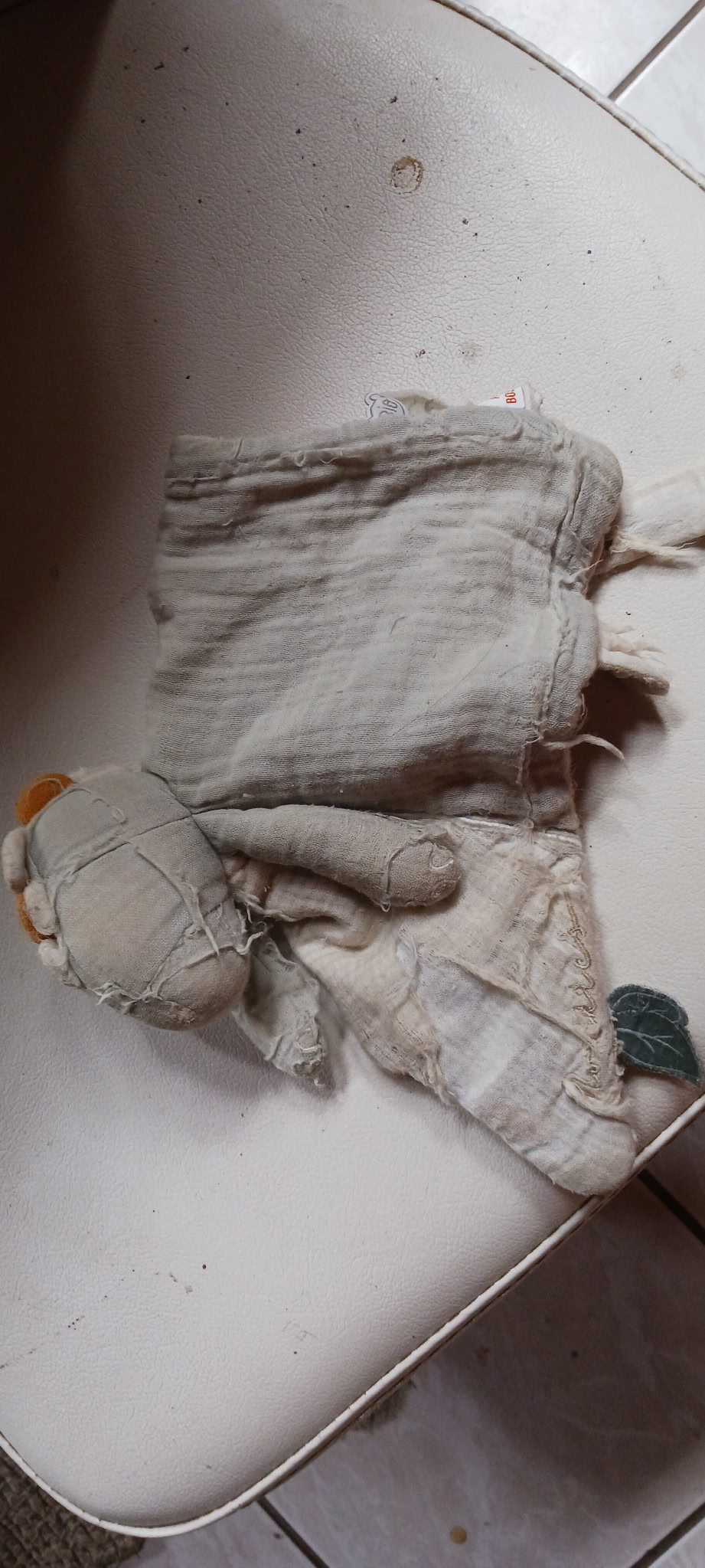 Petit dragon — Callen