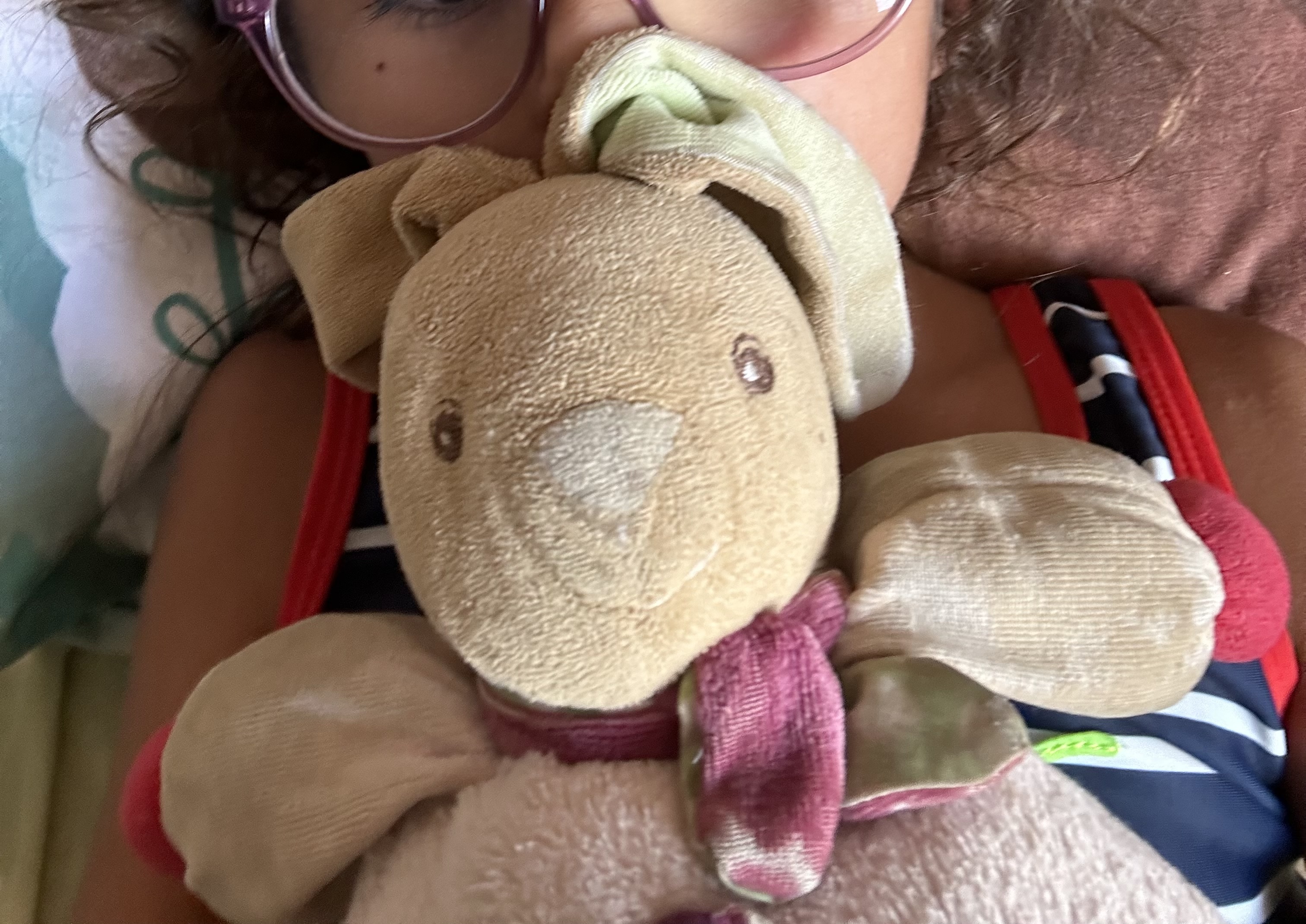 2 Lapins Kaloo perdus à TOULON — Toulon
