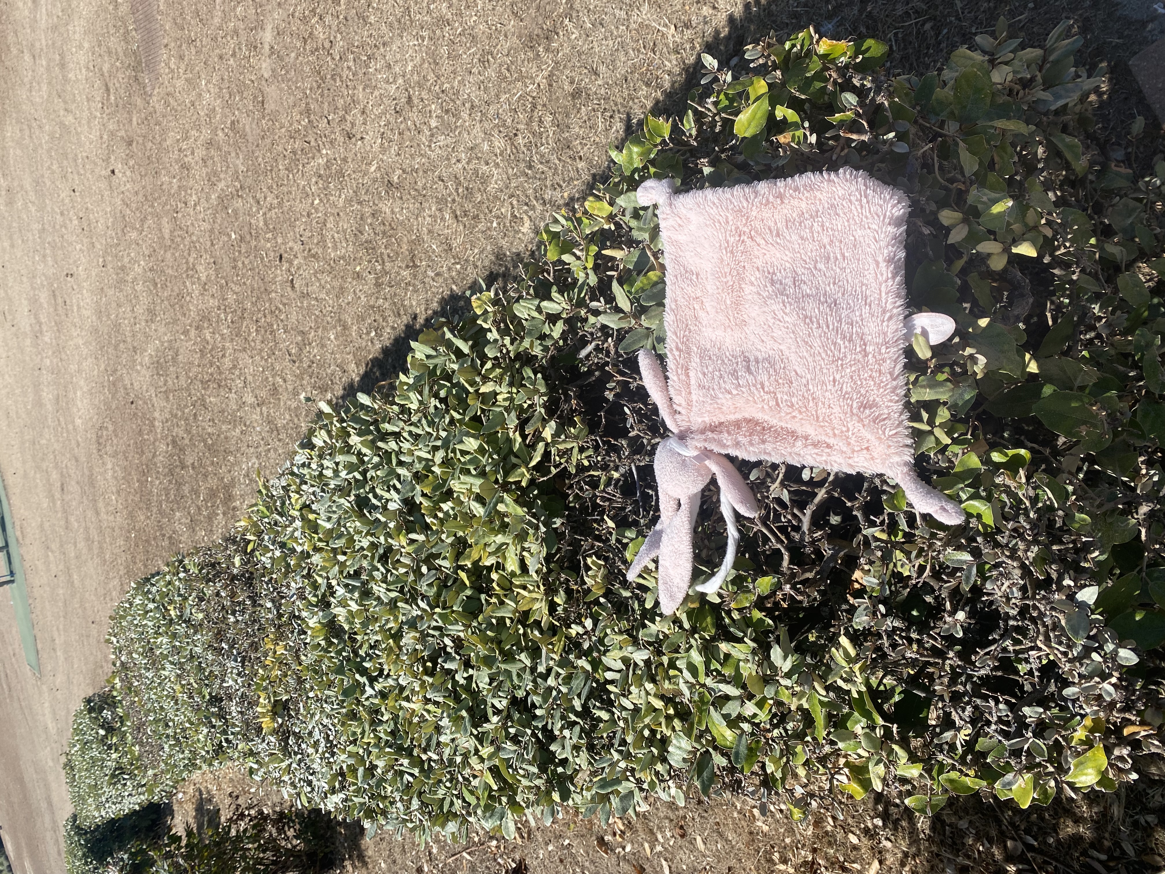 Doudou perdu à Deauville — Deauville