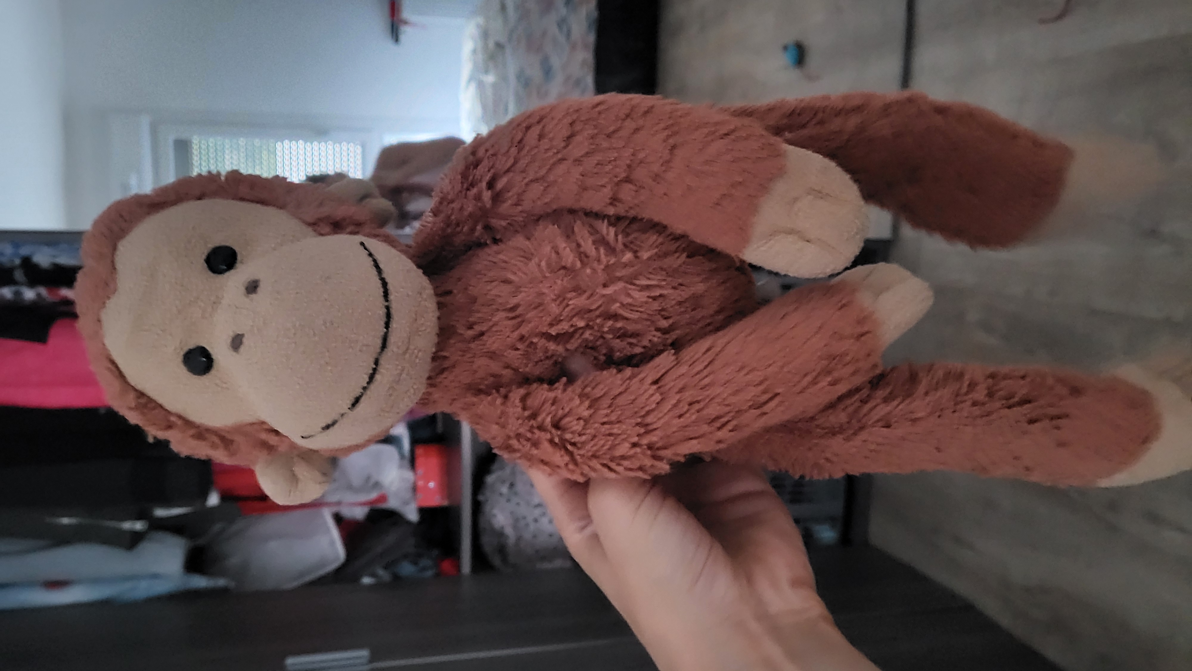 Peluche Singe orang outan — Aix-les-Bains