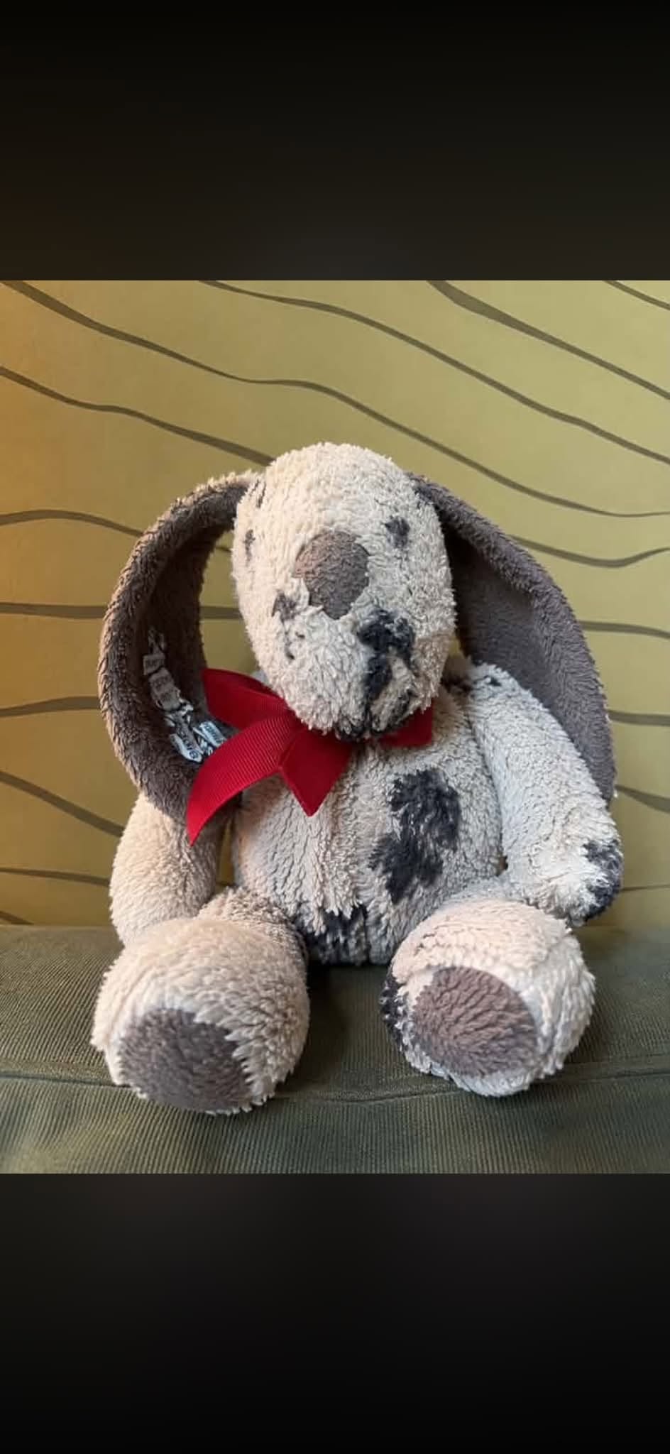 Doudou chien - blanc et noir avec un collier noir — Reims