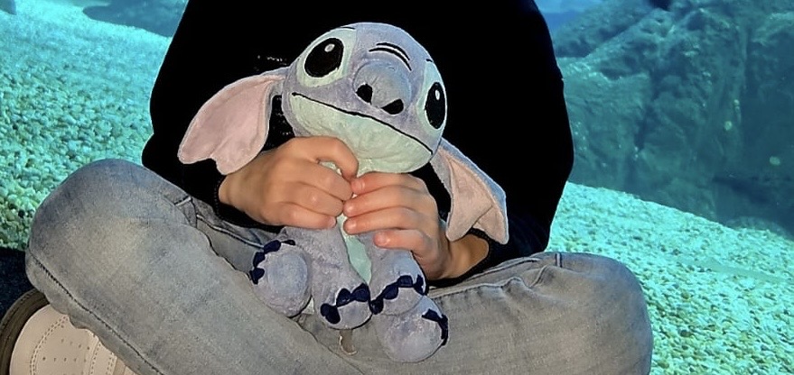 Doudou Stitch — Dole