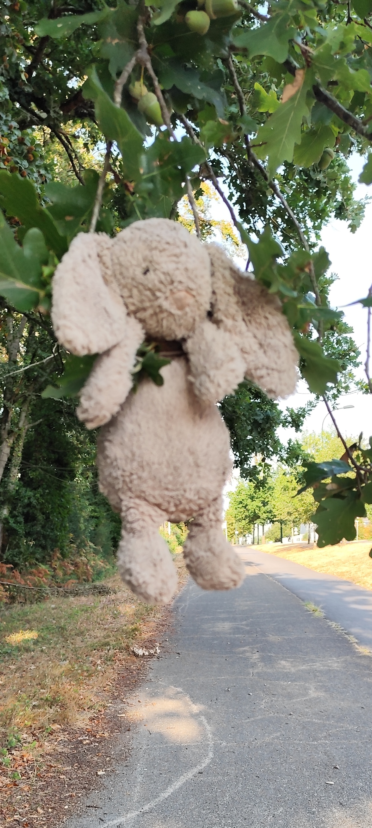 Lapin jellycat marqué ''Prune'' — Indre