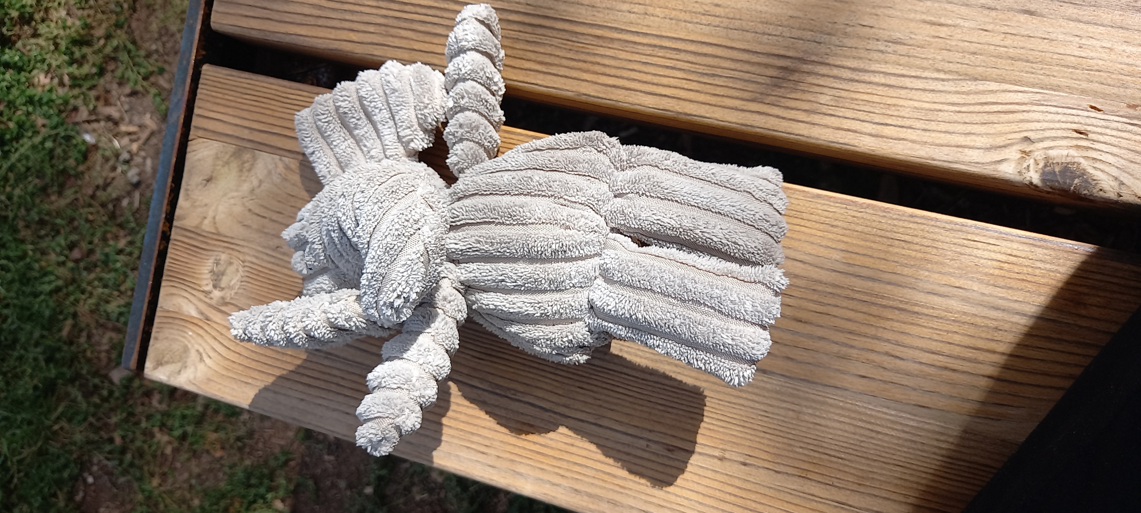 Éléphant trouvé sur le plateau de corent — Corent