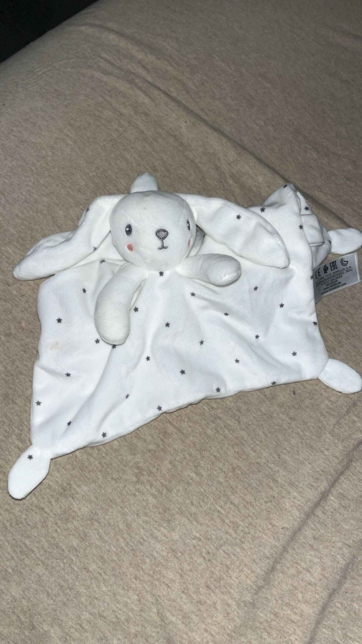 Lapin kiabi perdu a savenay zone de la colleray — Savenay