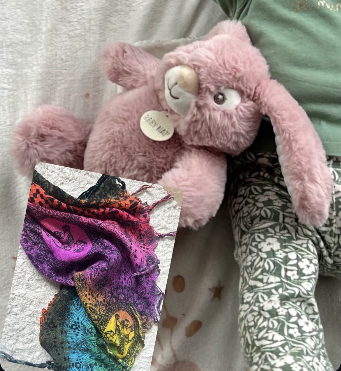 Lapin rose — Pontivy