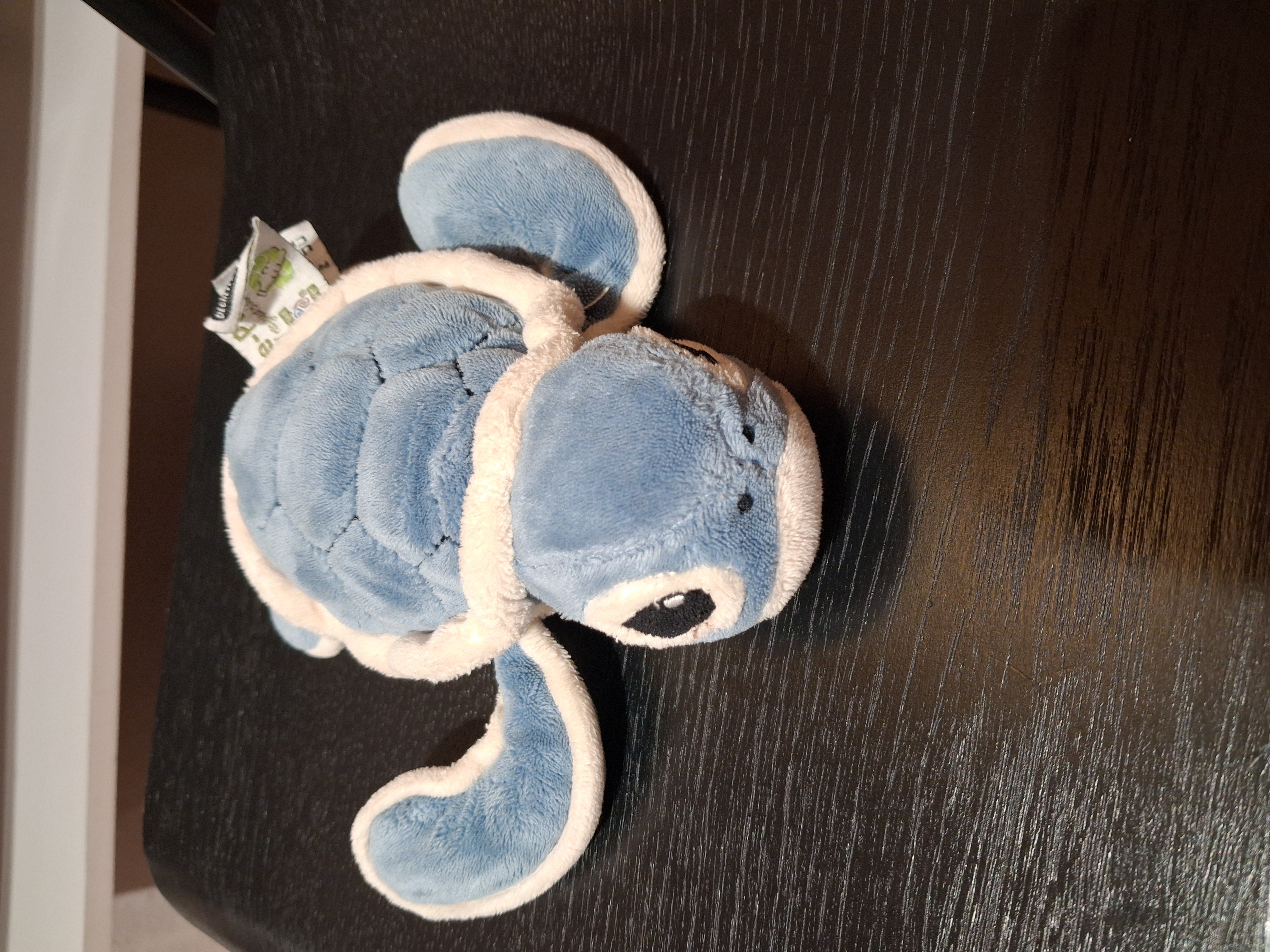 Tortue — Brest