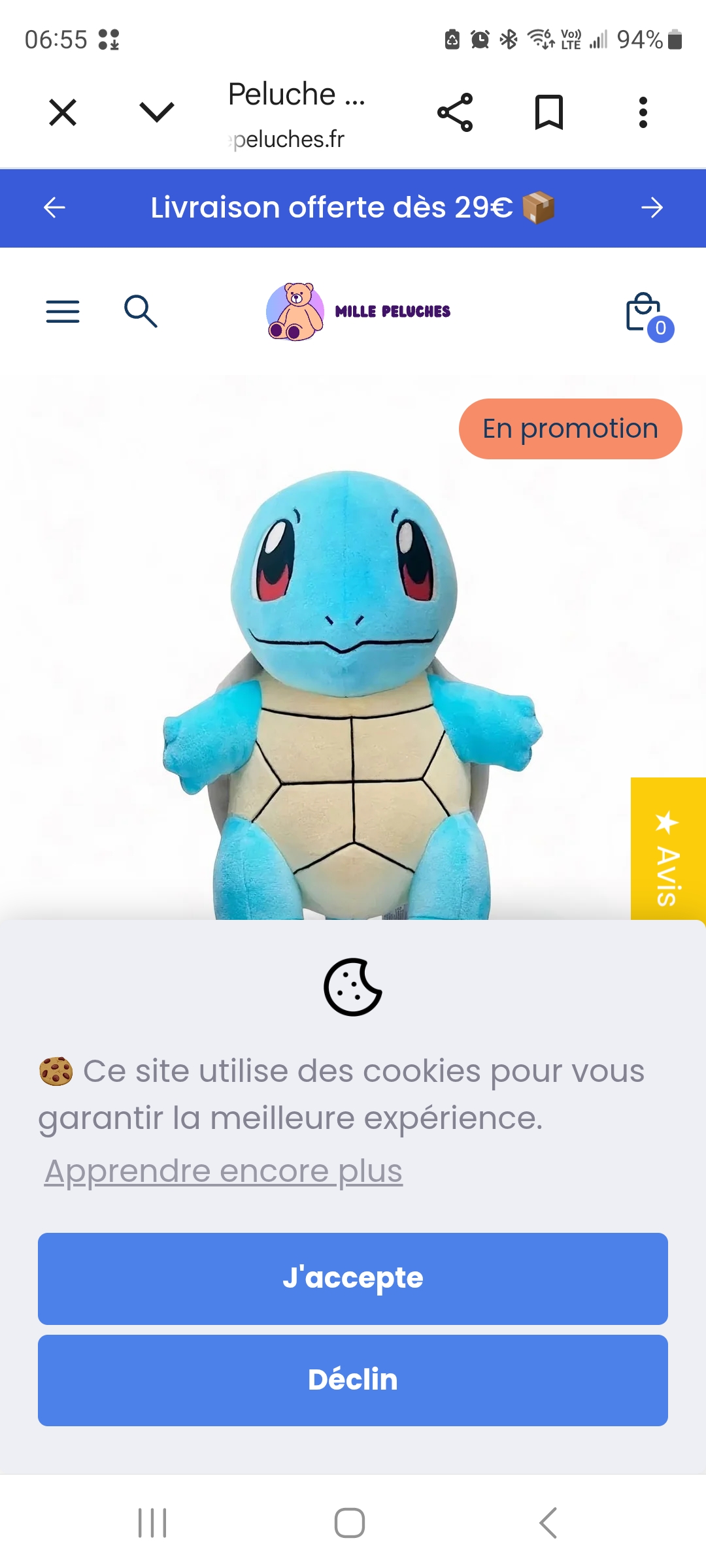 Pokemon Carapuce — Saint-Parres-aux-Tertres