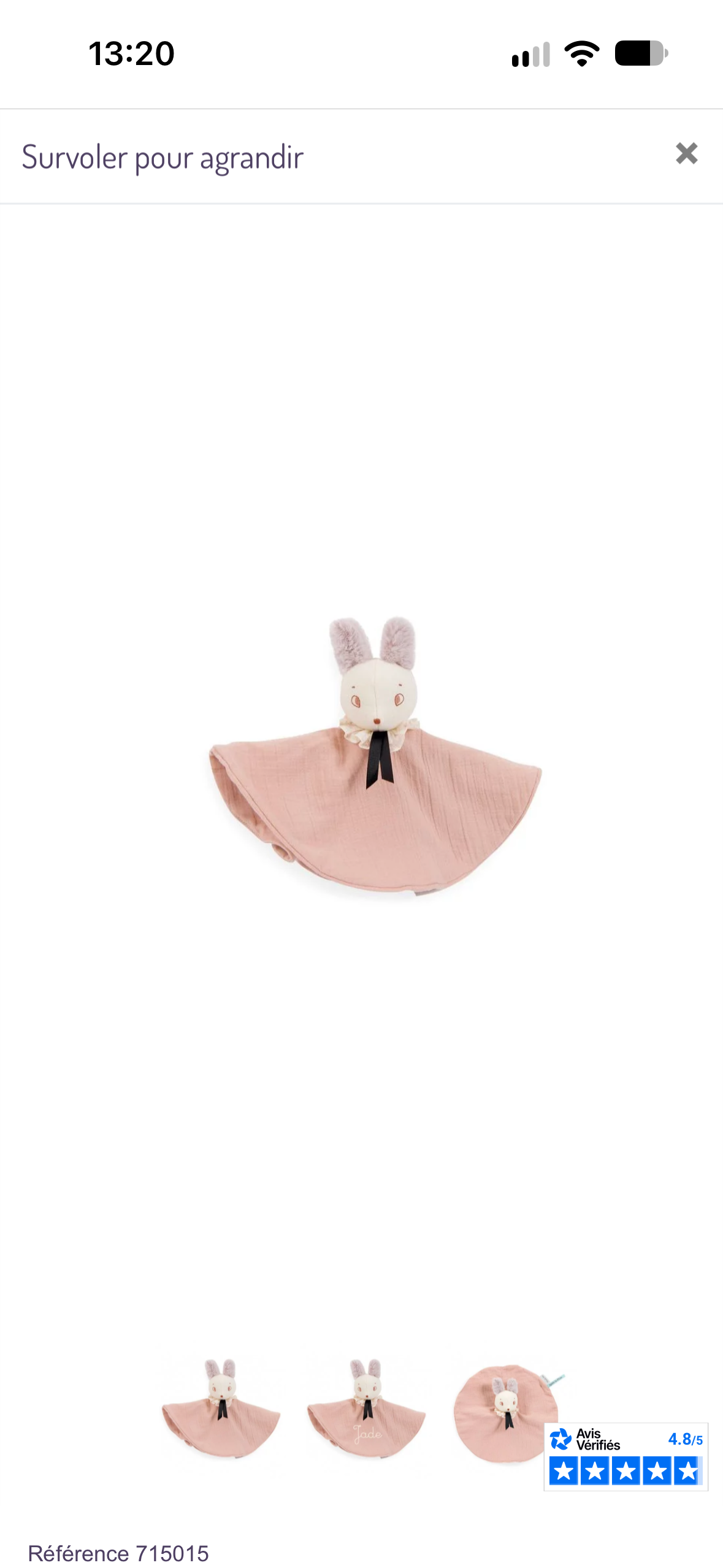 Doudou lange souris rose après la pluie perdu à Chambéry — Chambéry