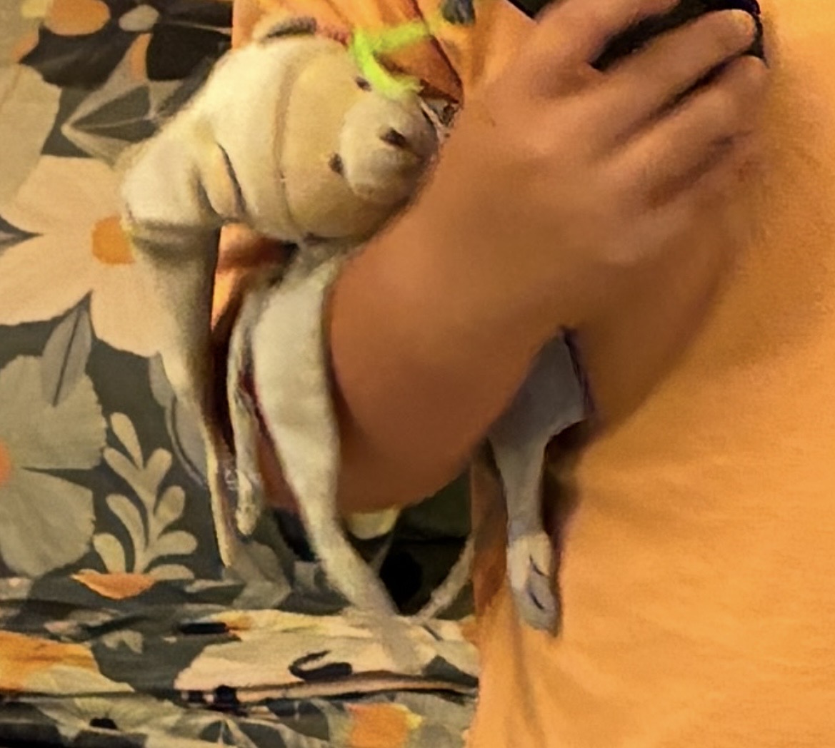 Doudou petit chou de doudou et compagnie gris et bleu — Narbonne