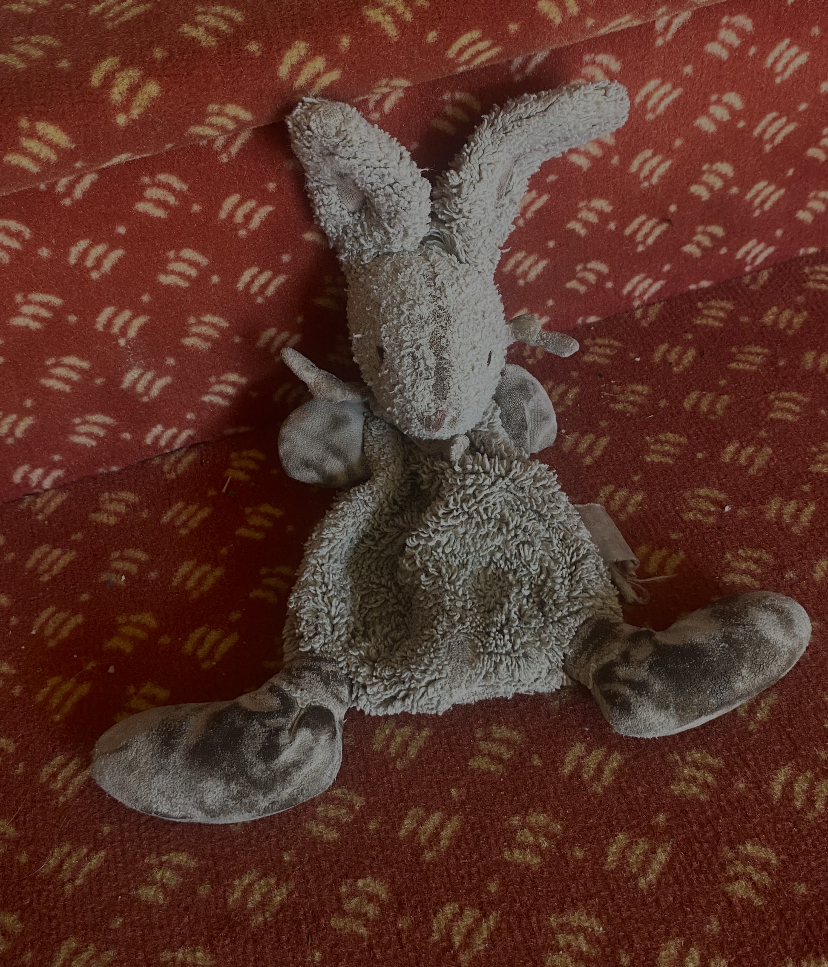 Perdu lapin doudou — Élancourt