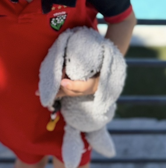Lapin jellycat gris perdu anglet (chambre d’amour) — Anglet