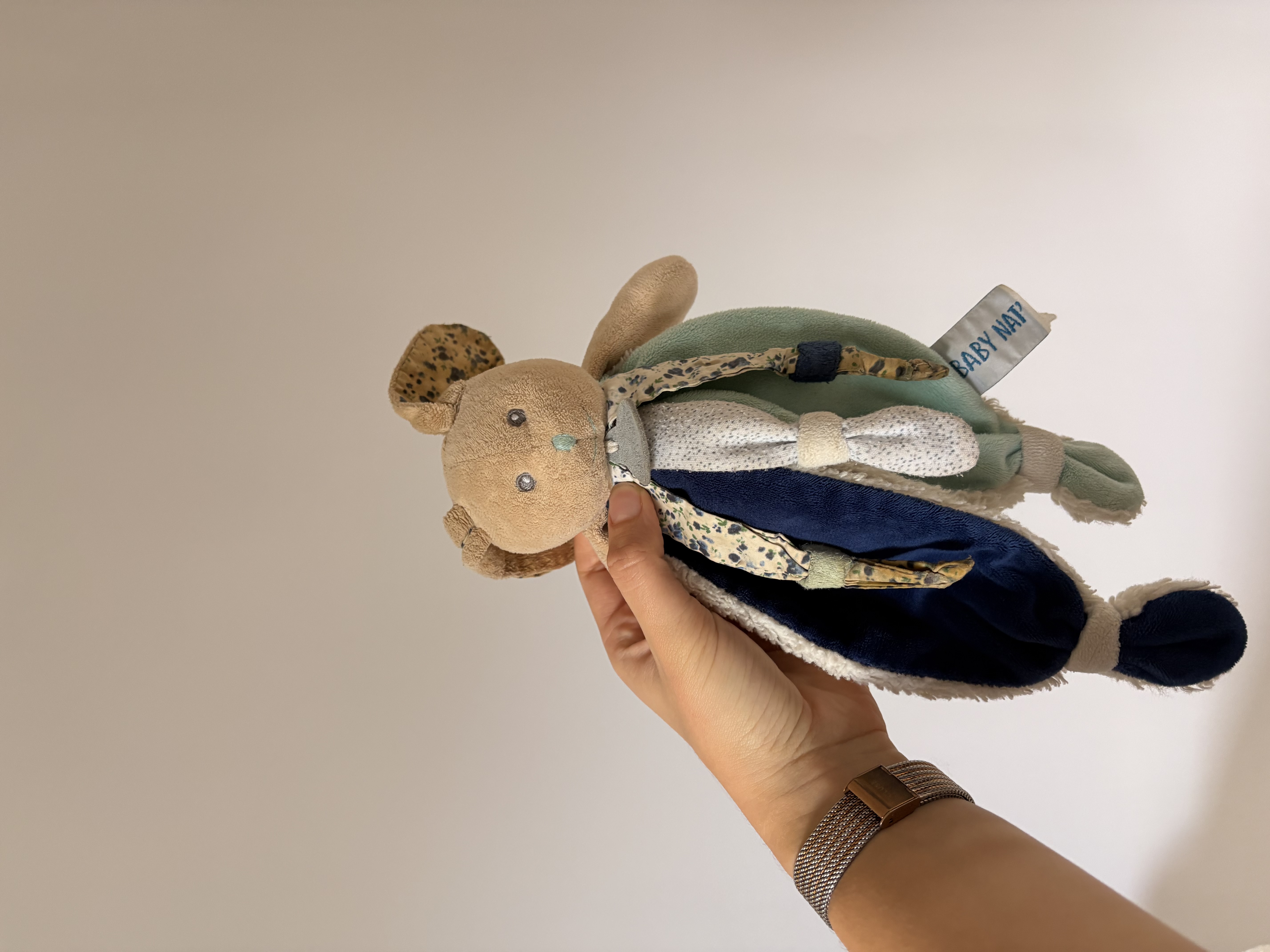 Lapin babynat bleu - Rennes — Rennes