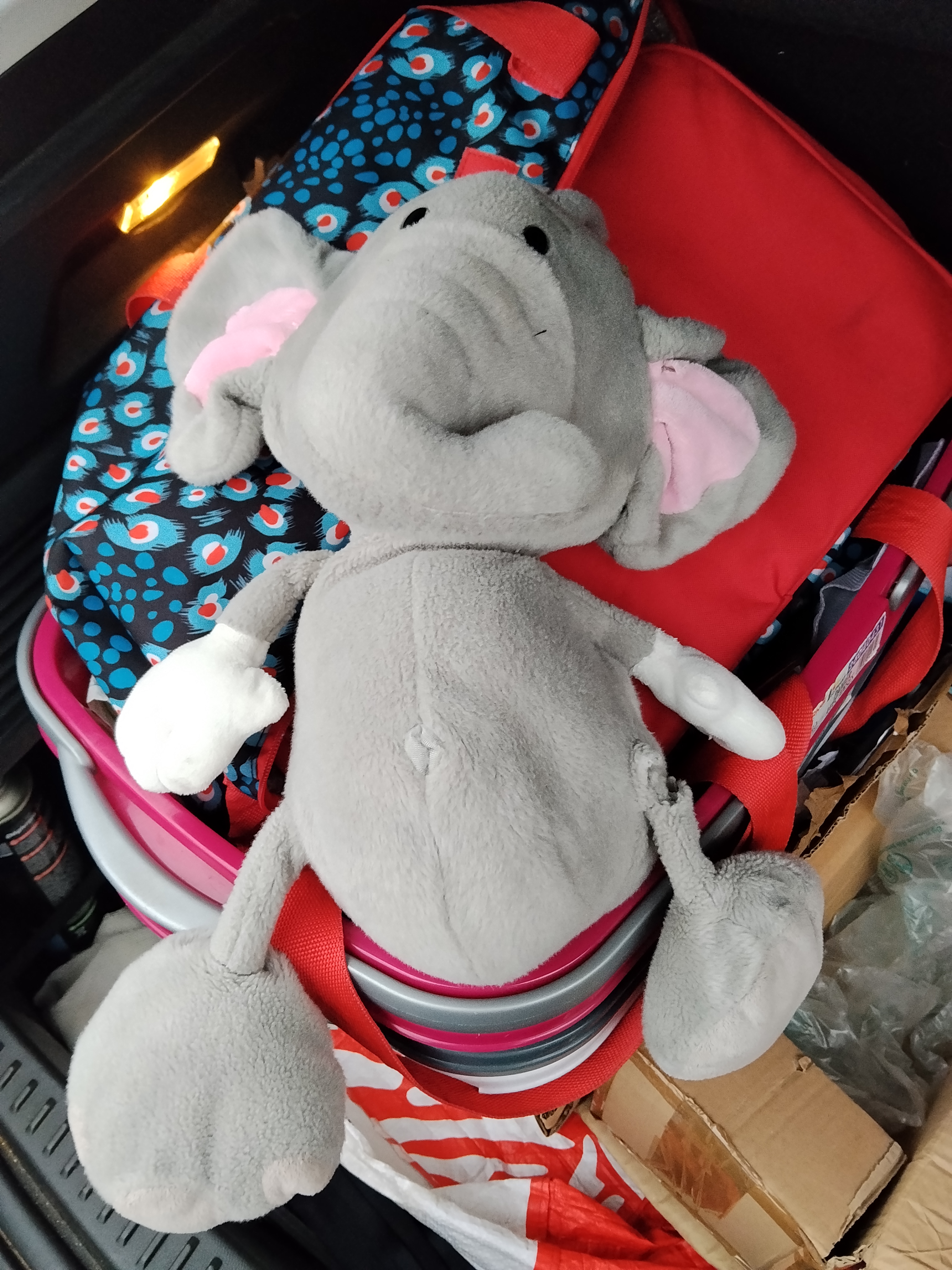 Éléphant gris un peu déchiré — Bruay-sur-l'Escaut