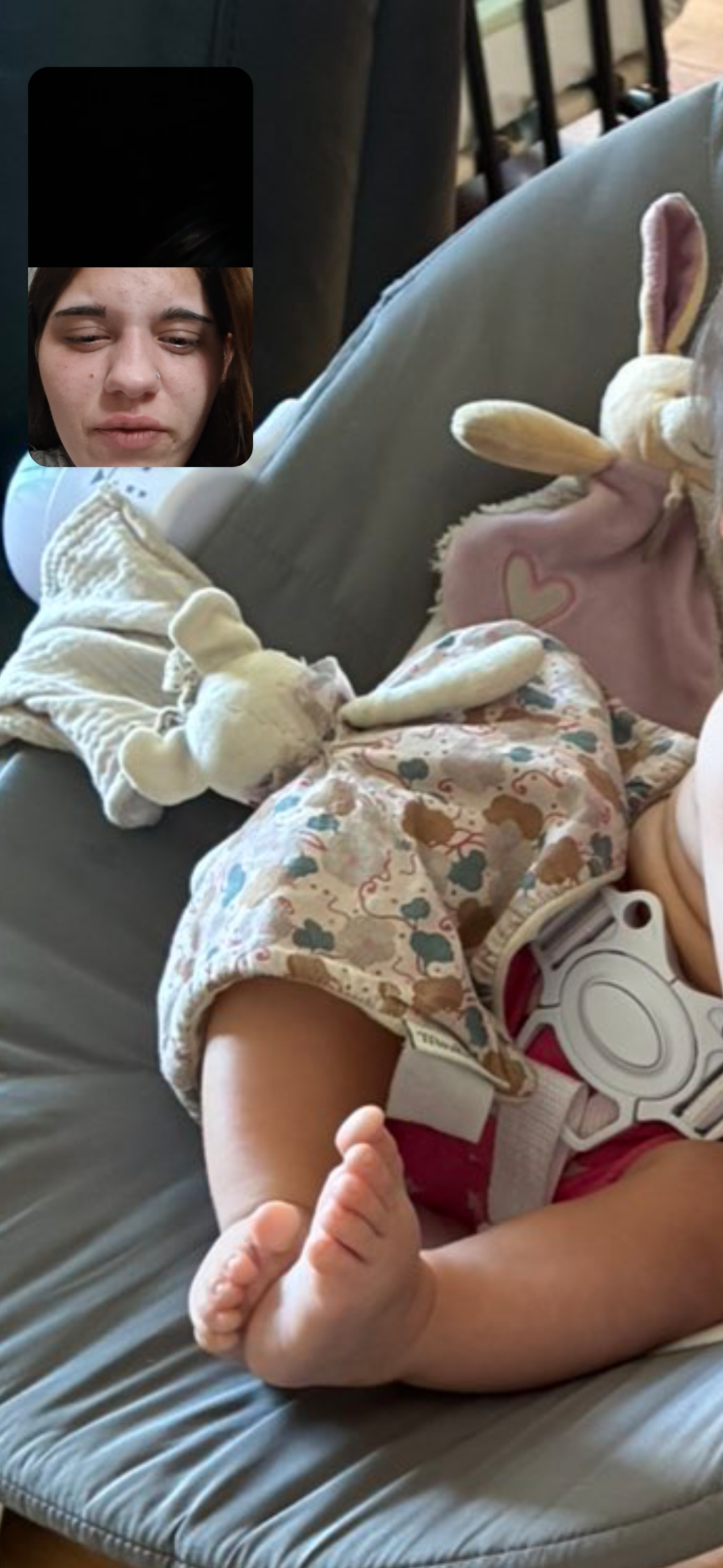 2 doudou perdu vers le chemin vers a montdidier — Montdidier