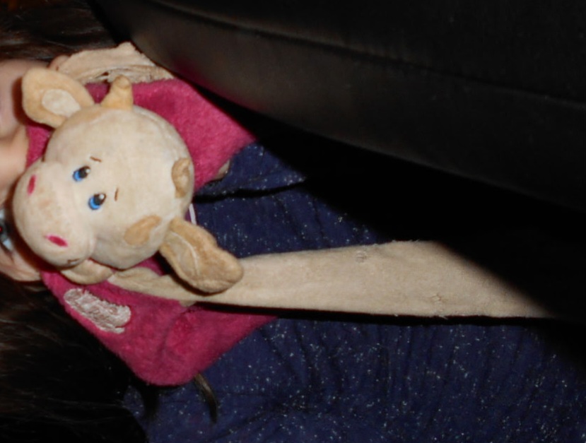 Doudou — Sablé-sur-Sarthe