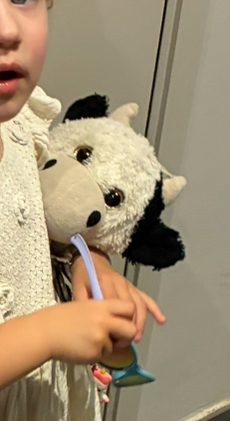 Doudou vache — Lyon