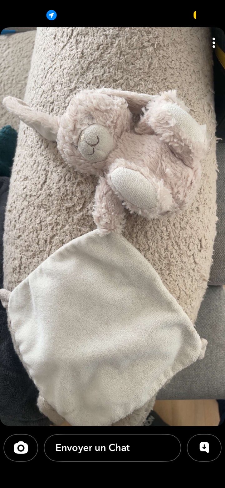 Doudou lapin — Brest