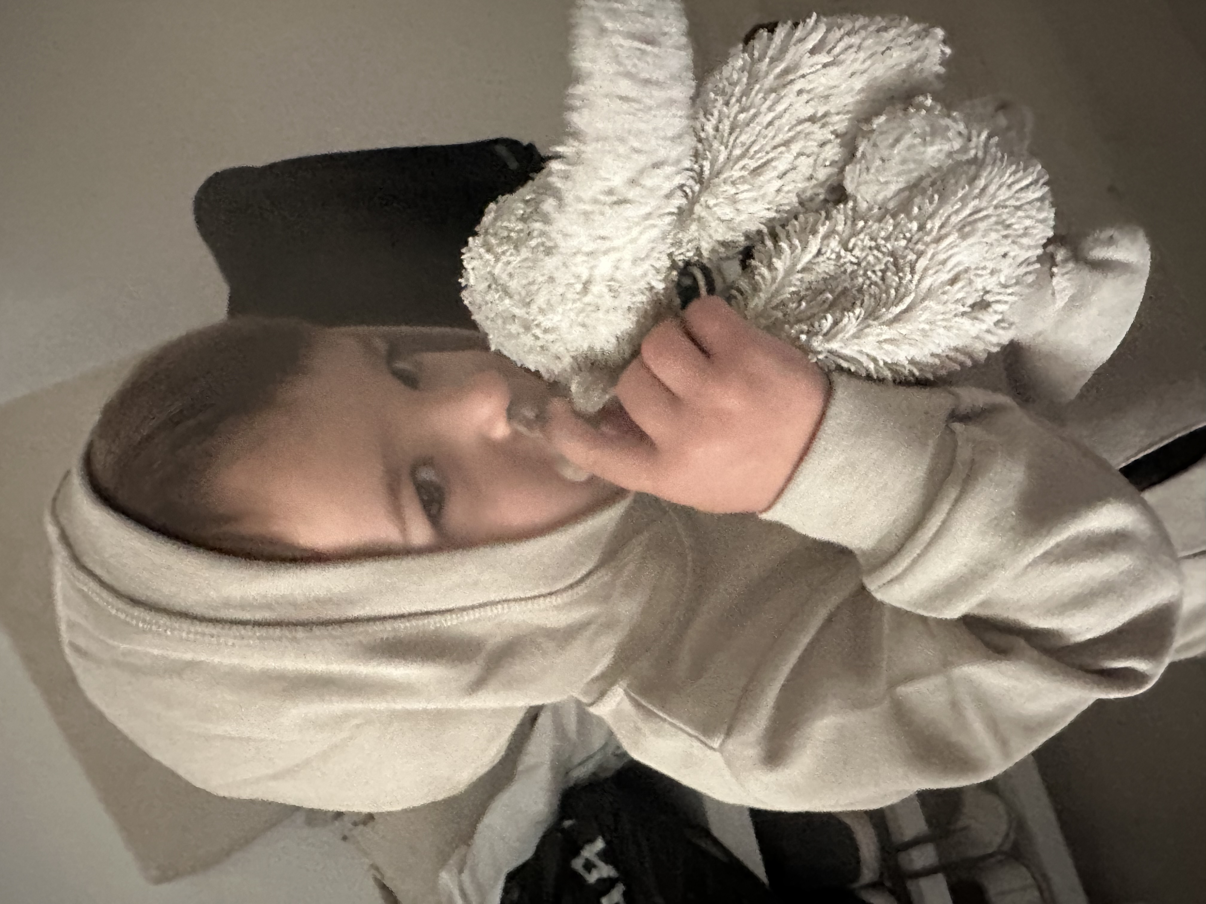 Lapin blanc — Meaux