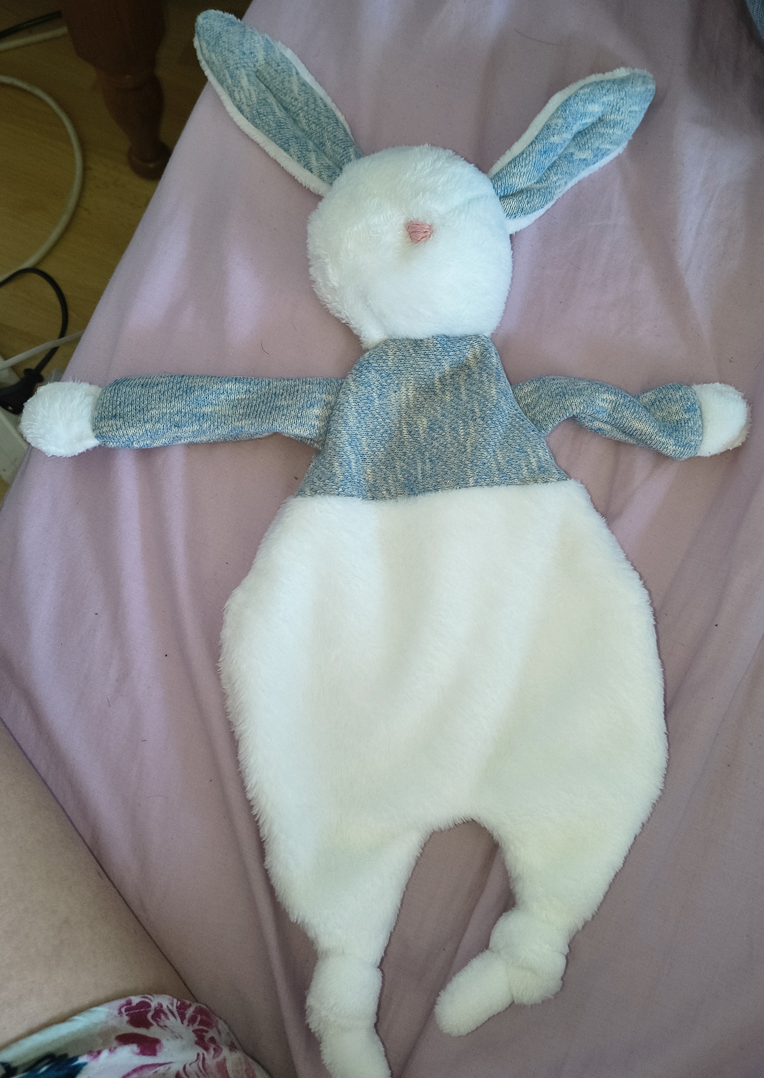 Lapin bleu et blanc — Saint-Julien-en-Genevois