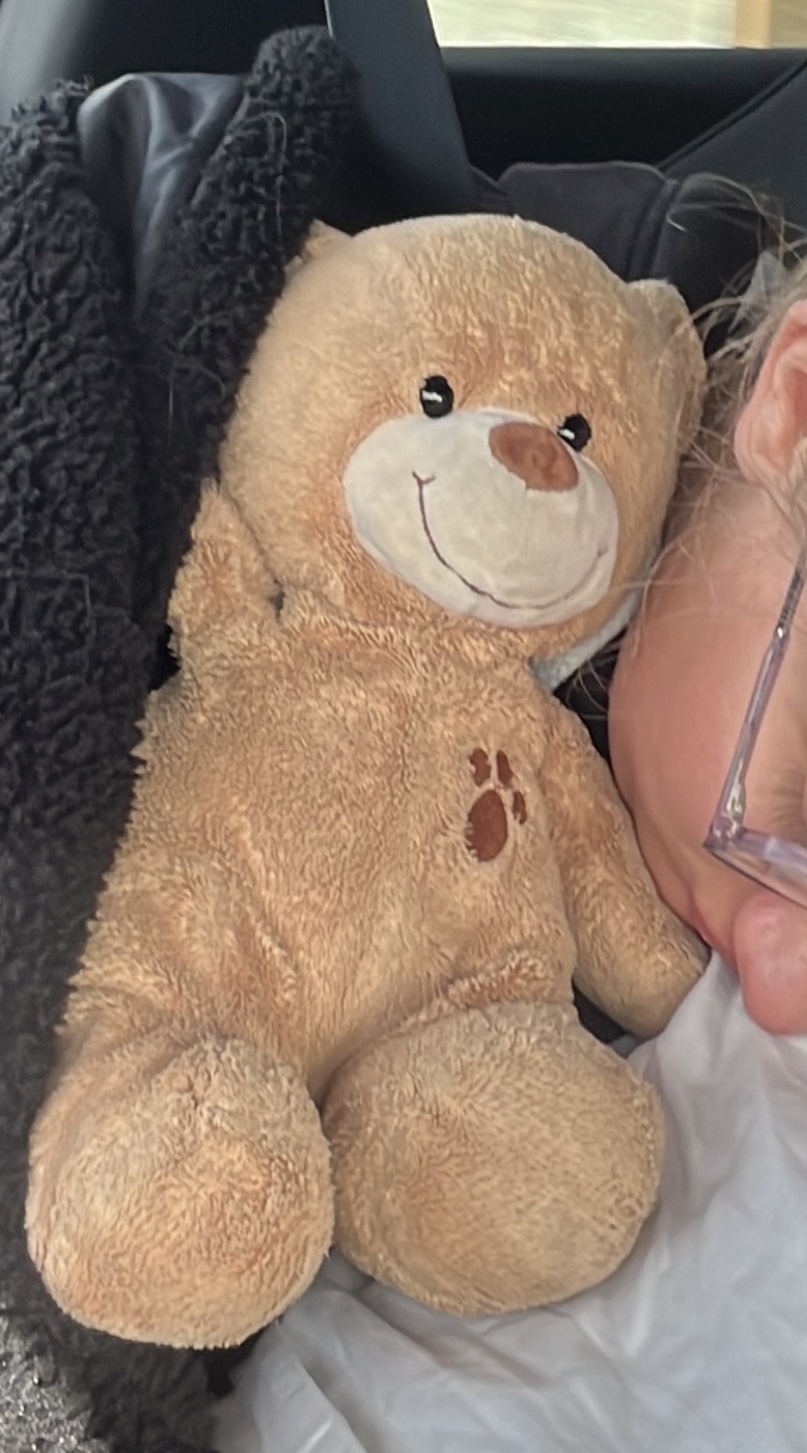 peluche nounours — Montreuil
