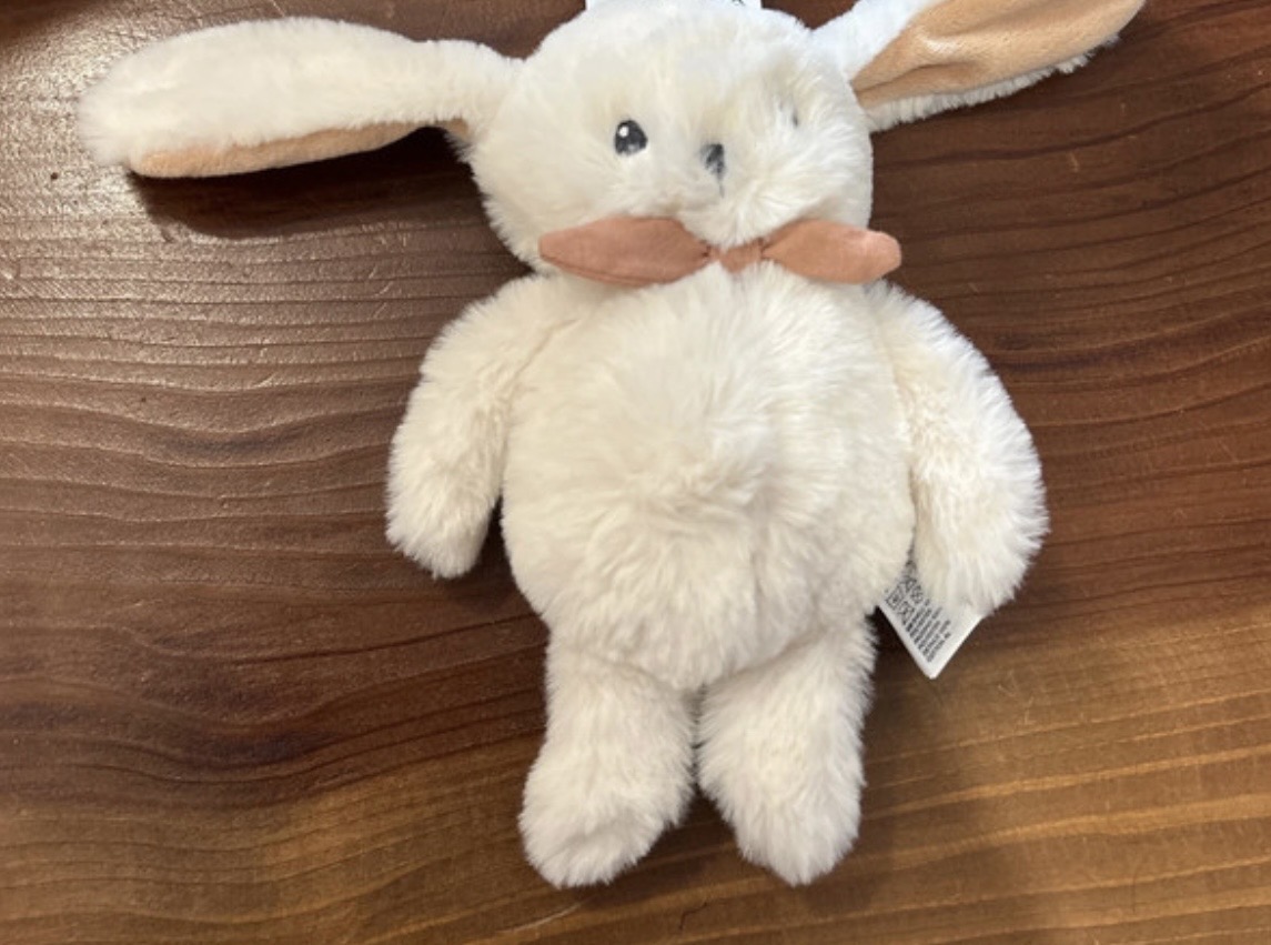 Petit lapin blanc — Lille